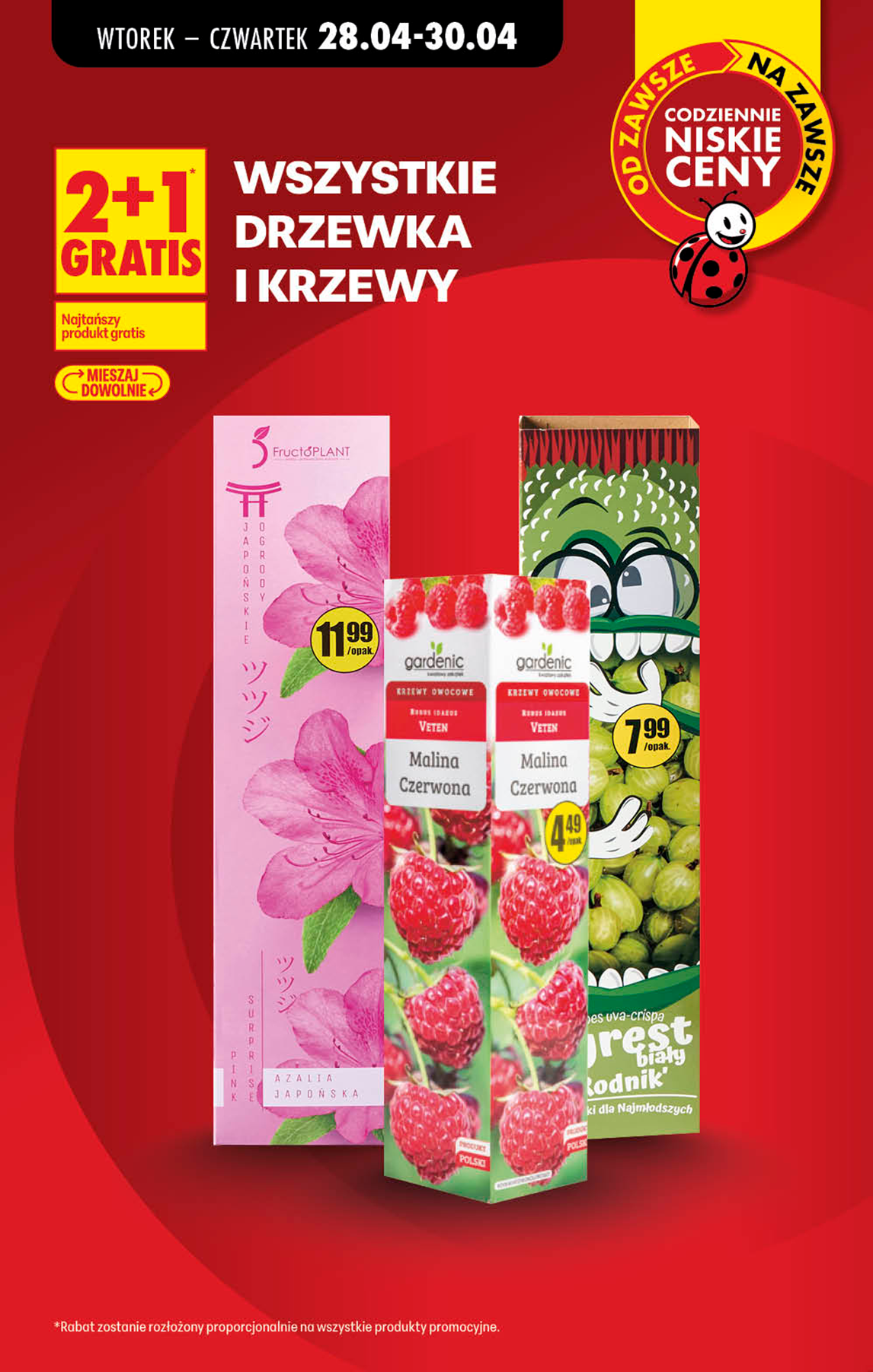 biedronka - Aktualna gazetka Biedronka ważna od 29.04.2026 do 06.05.2026 - page: 26