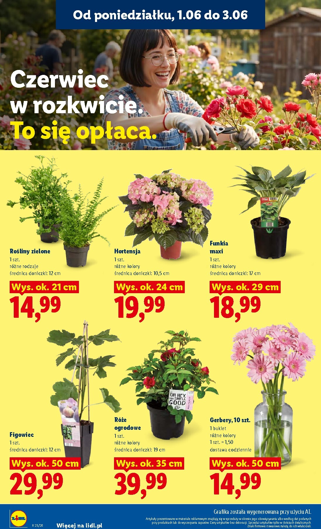 lidl - Nowa gazetka Lidl ważna od 01.06.2026 do 03.06.2026 - page: 106