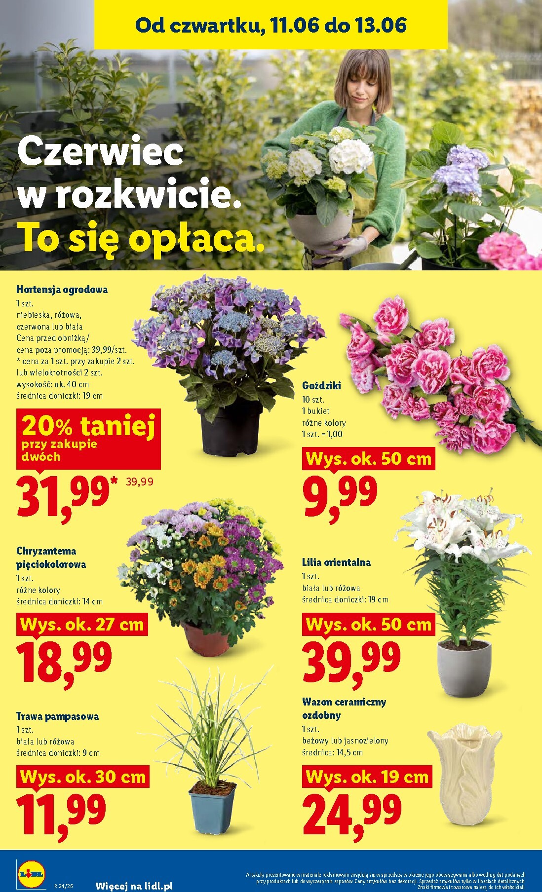lidl - Nowa gazetka Lidl ważna od 11.06.2026 do 13.06.2026 - page: 92