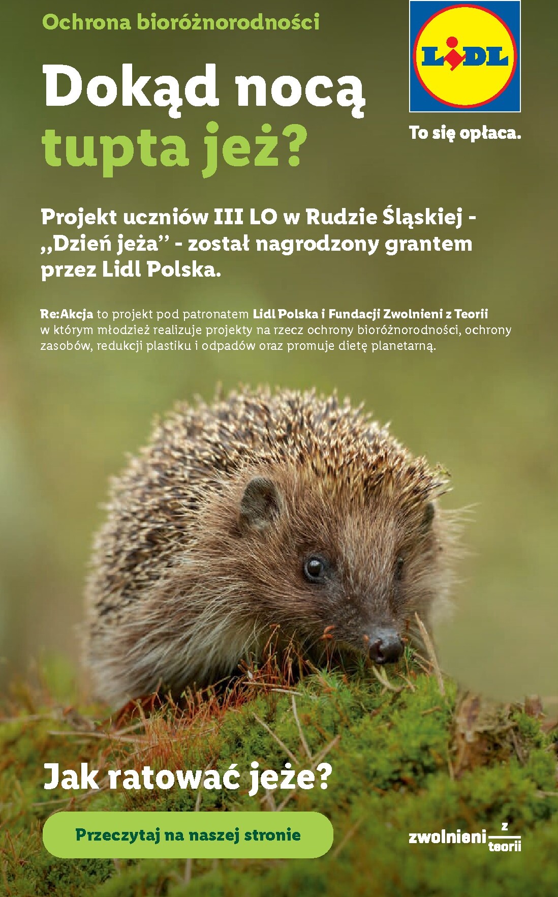 lidl - Nowa gazetka Lidl - Gazetka ważna od 15.06 do 17.06 ważna od 15.06.2026 do 17.06.2026 - page: 101