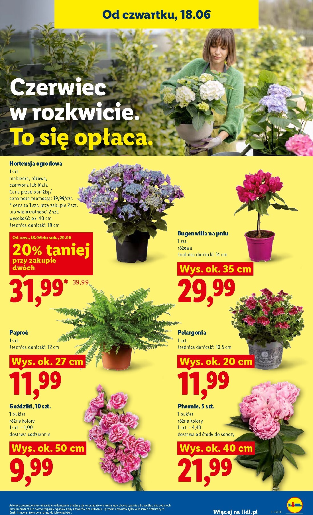 lidl - Aktualna gazetka Lidl - Gazetka ważna od 18.06 do 20.06 ważna od 18.06.2026 do 20.06.2026 - page: 81