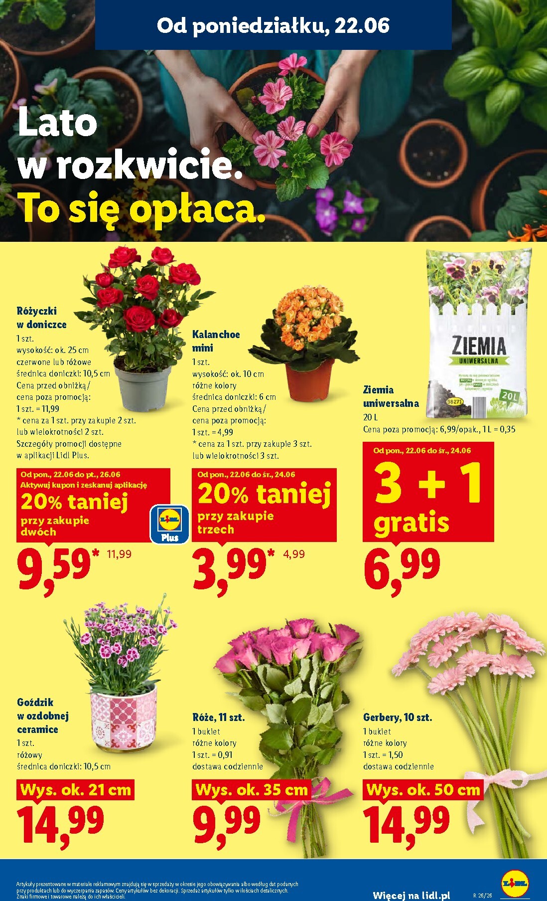 lidl - Nowa gazetka Lidl - Gazetka ważna od 22.06 do 24.06 ważna od 22.06.2026 do 24.06.2026 - page: 87