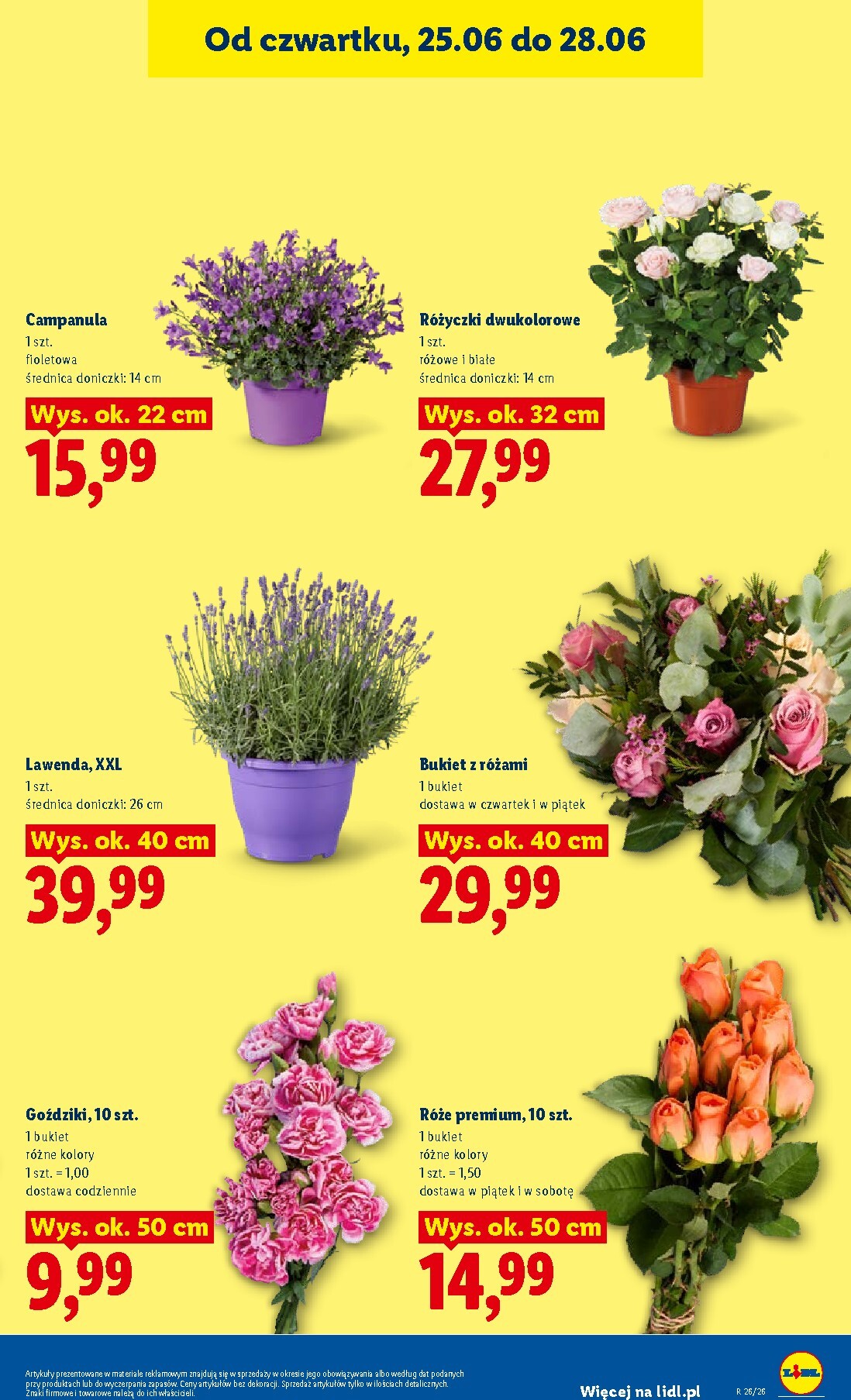 lidl - Aktualna gazetka Lidl - Gazetka ważna od 25.06 do 28.06 ważna od 25.06.2026 do 28.06.2026 - page: 43