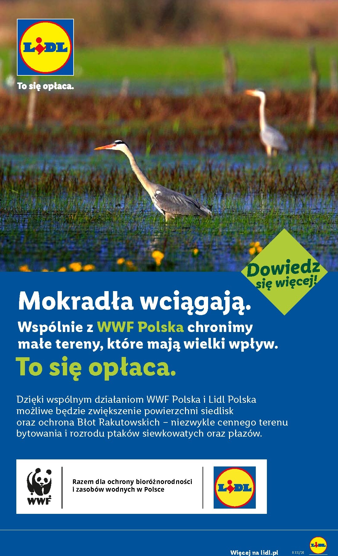 lidl - Aktualna gazetka Lidl ważna od 29.06.2026 do 01.07.2026 - page: 84