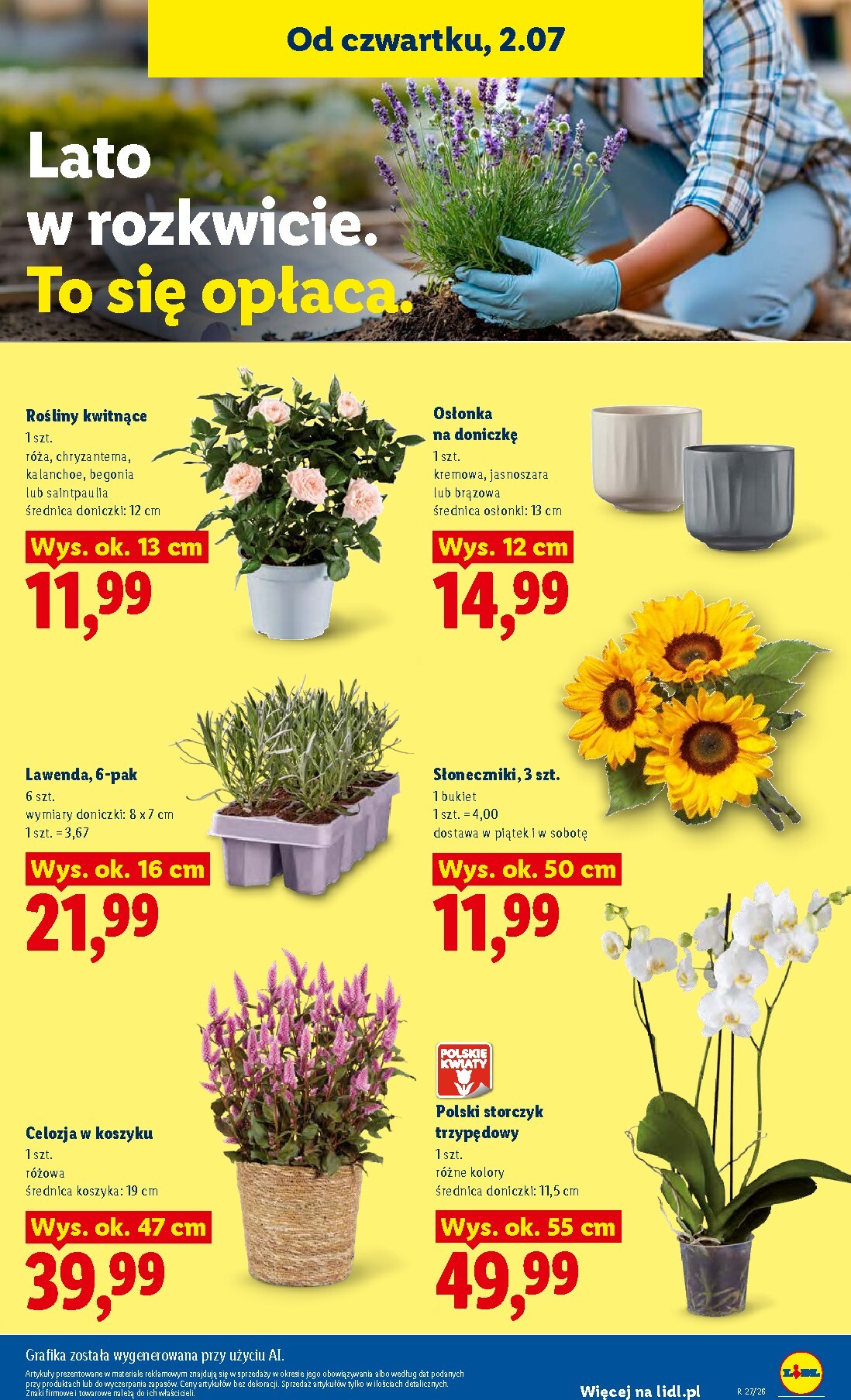 lidl - Nowa gazetka Lidl ważna od 02.07.2026 do 04.07.2026 - page: 81