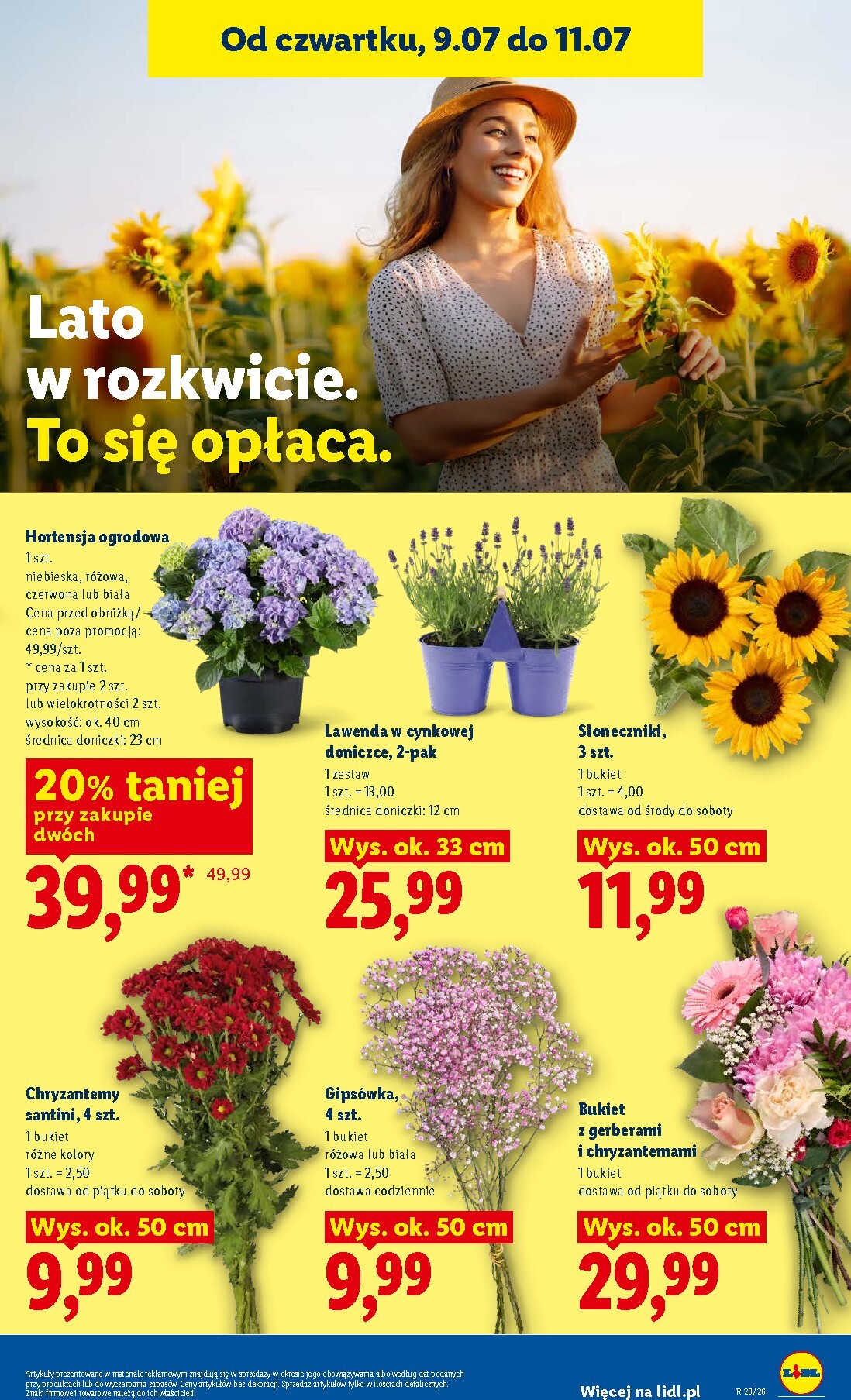 lidl - Aktualna gazetka Lidl - Gazetka ważna od 9.07 do 11.07 ważna od 09.07.2026 do 11.07.2026 - page: 85