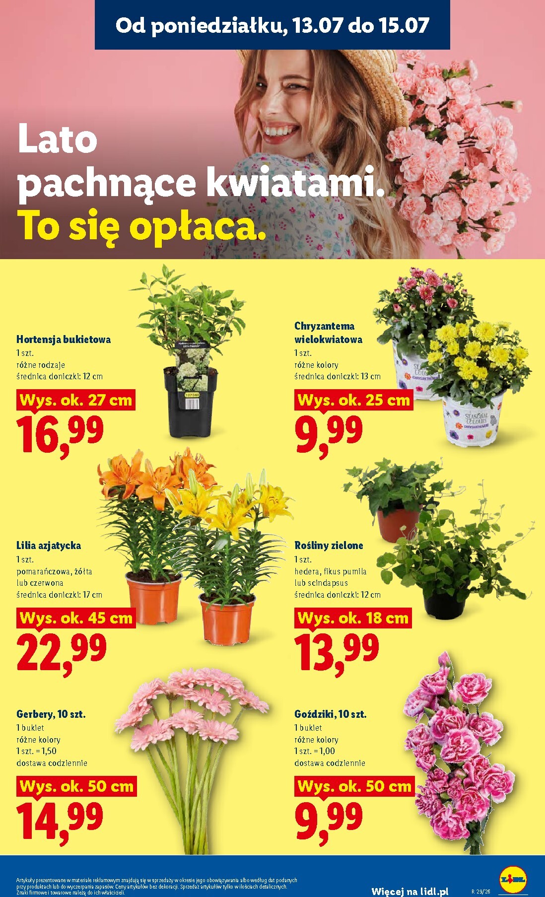 lidl - Aktualna gazetka Lidl ważna od 13.07.2026 do 15.07.2026 - page: 87