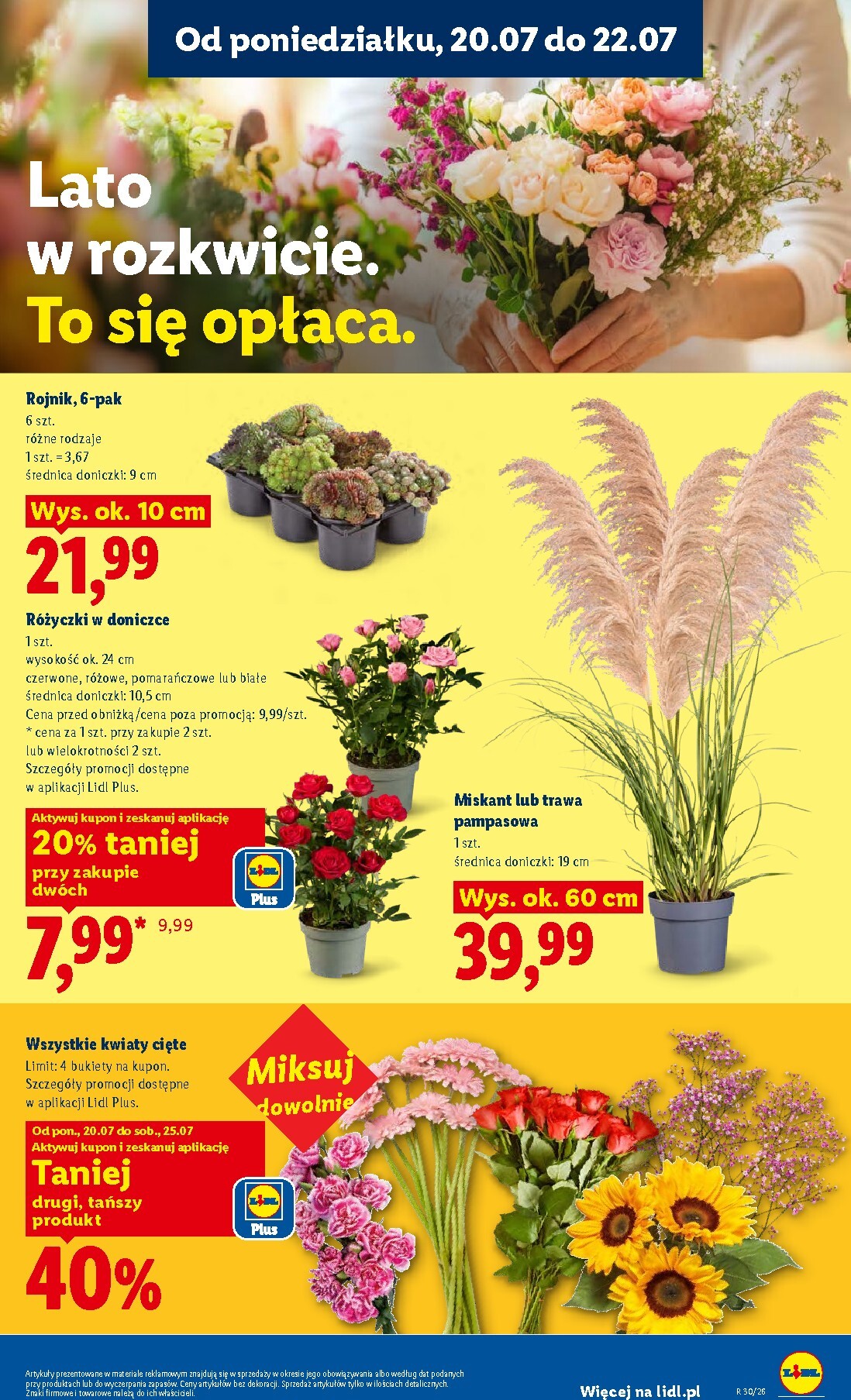 lidl - Nowa gazetka Lidl - Gazetka ważna od 20.07 do 22.07 ważna od 20.07.2026 do 22.07.2026 - page: 99