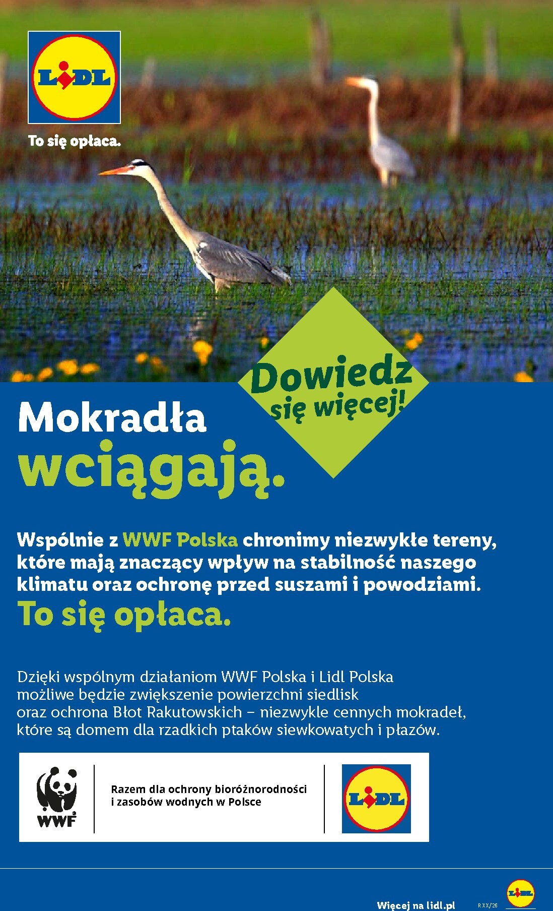 lidl - Nowa gazetka Lidl - Gazetka ważna od 27.07. do 01.08. ważna od 27.07.2026 do 01.08.2026 - page: 56