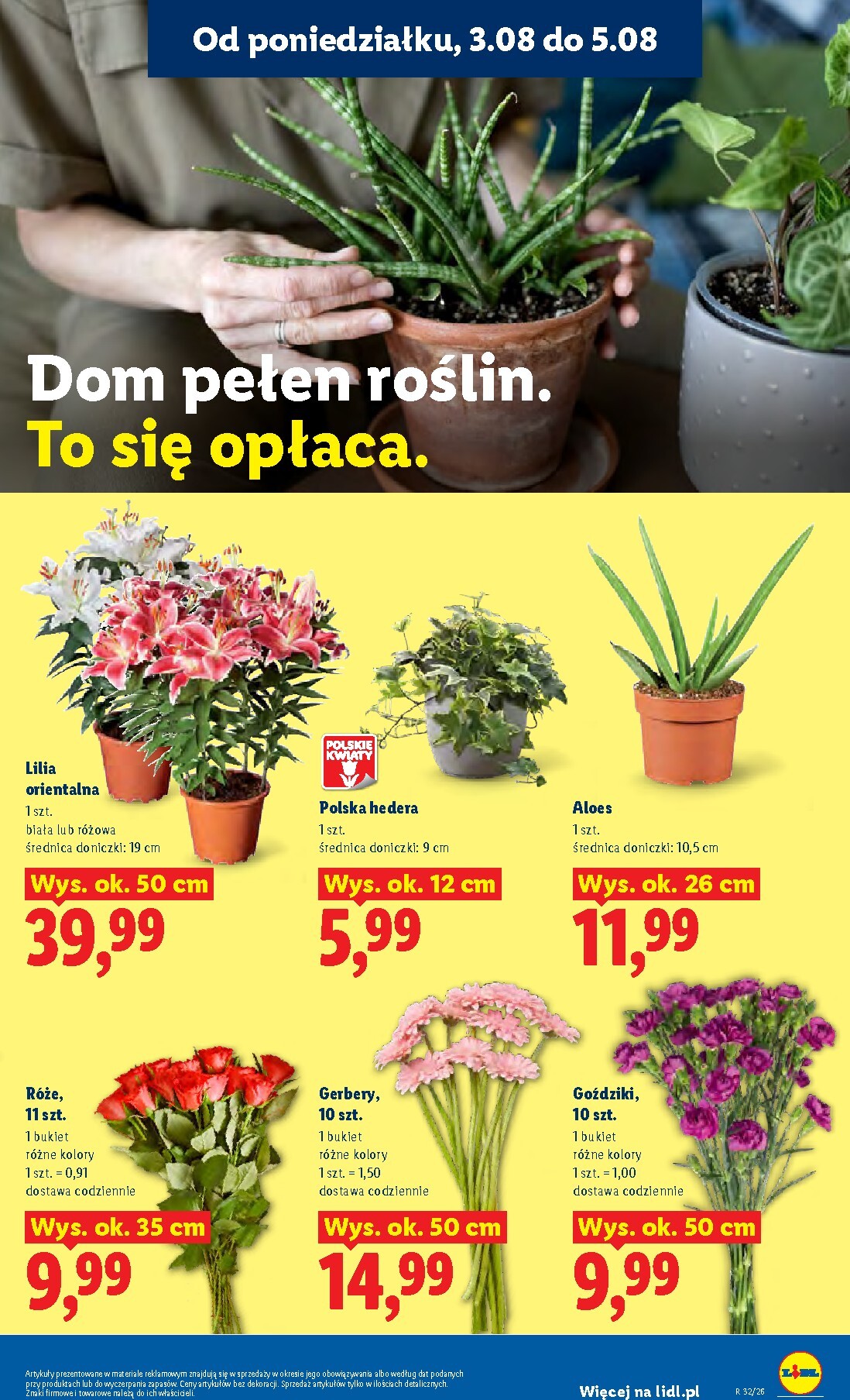 lidl - Nowa gazetka Lidl ważna od 03.08.2026 do 05.08.2026 - page: 91