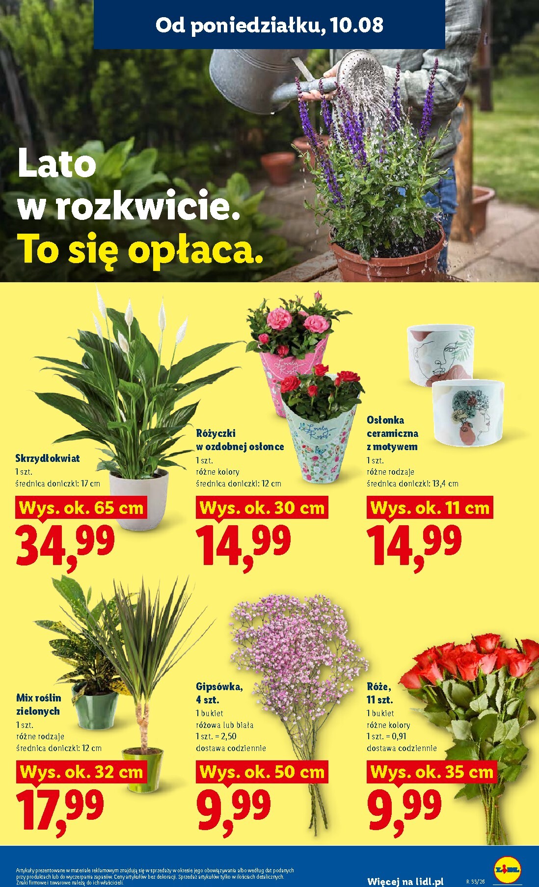 lidl - Nowa gazetka Lidl ważna od 10.08.2026 do 11.08.2026 - page: 93