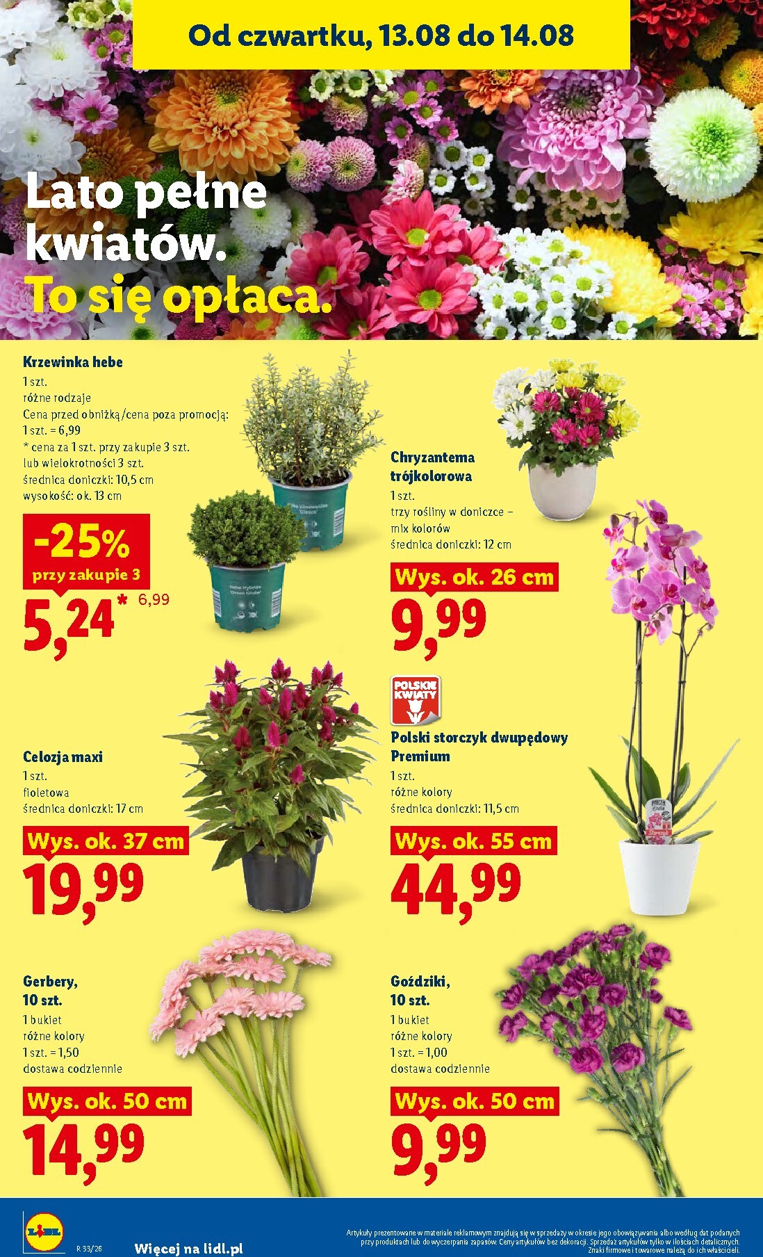 lidl - Nowa gazetka Lidl ważna od 12.08.2026 do 14.08.2026 - page: 86