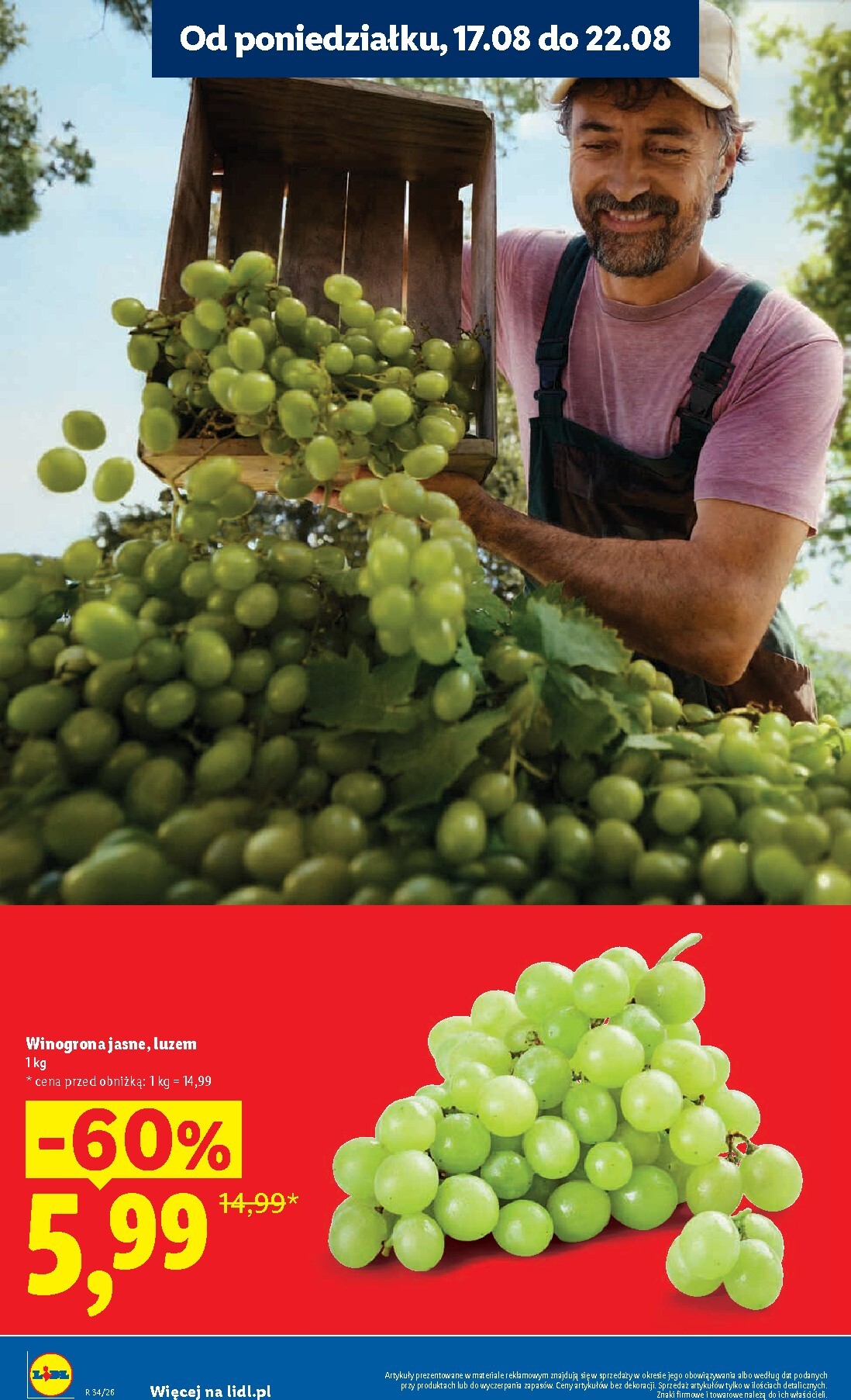 lidl - Nowa gazetka Lidl ważna od 17.08.2026 do 19.08.2026 - page: 16