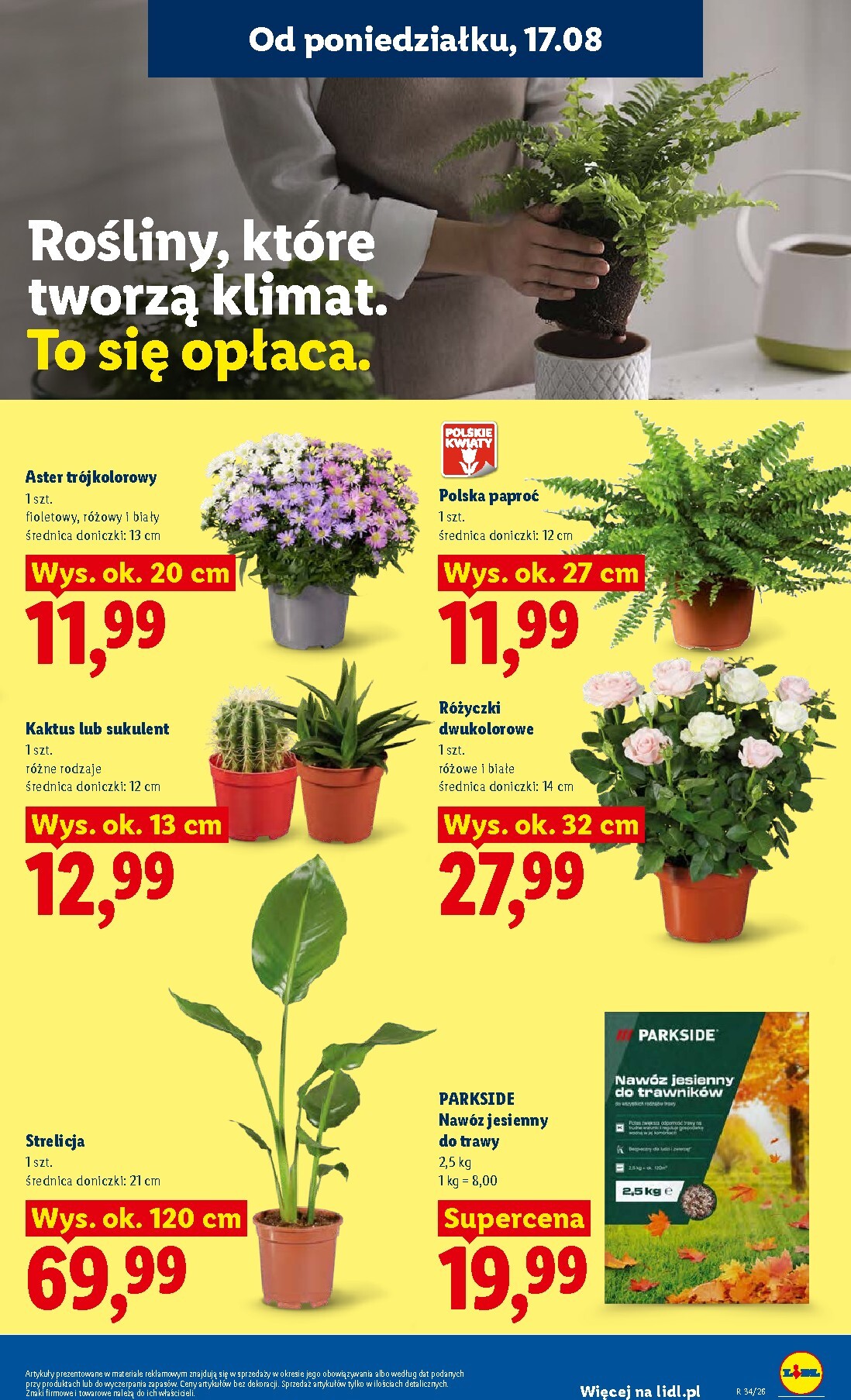 lidl - Aktualna gazetka Lidl ważna od 17.08.2026 do 19.08.2026 - page: 77