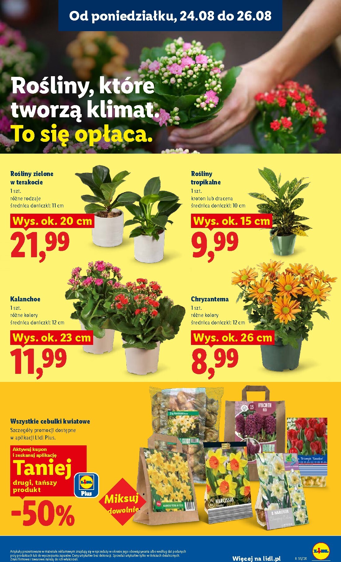 lidl - Nowa gazetka Lidl ważna od 24.08.2026 do 26.08.2026 - page: 85