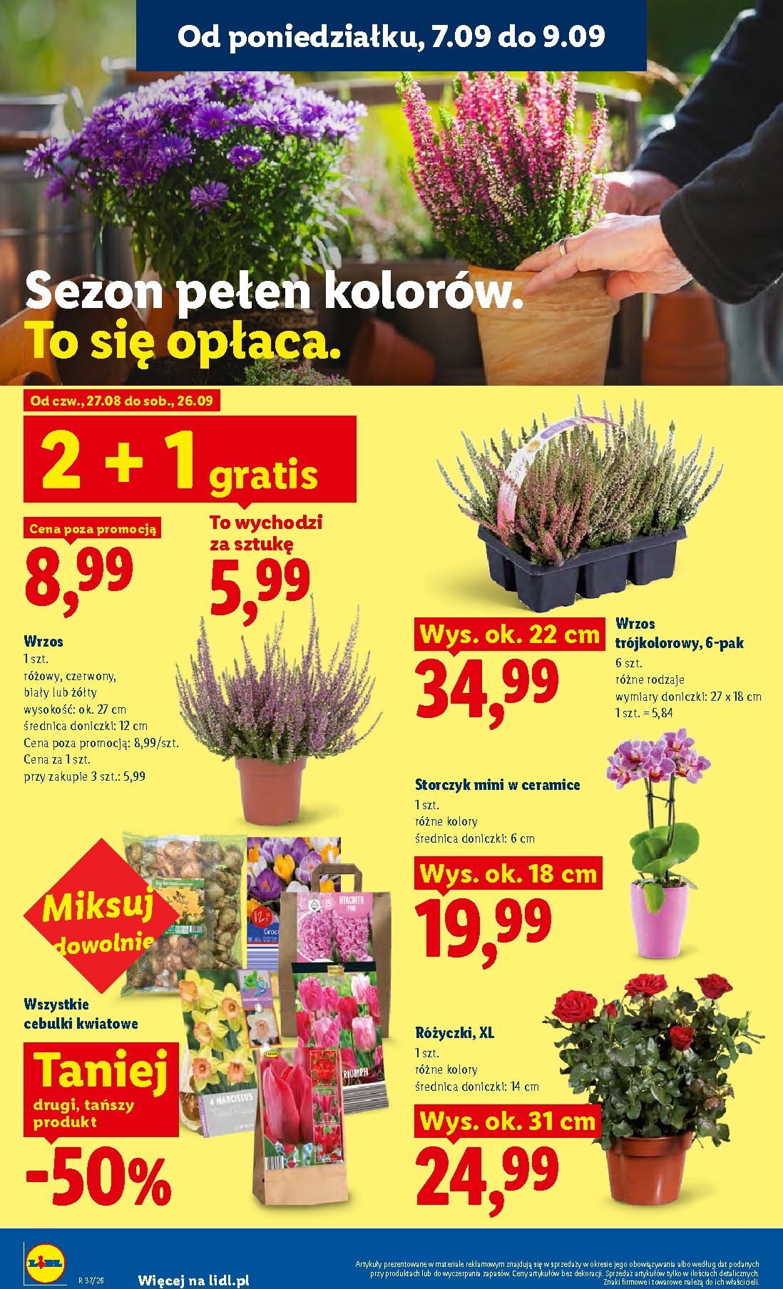 lidl - Aktualna gazetka Lidl ważna od 07.09.2026 do 09.09.2026 - page: 82