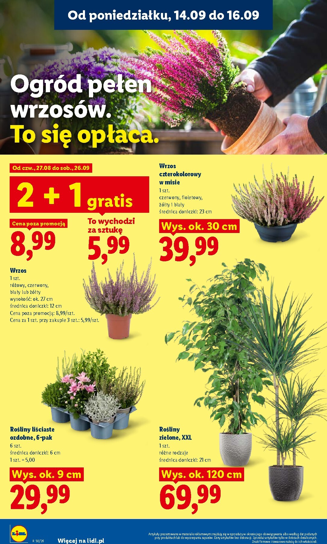 lidl - Aktualna gazetka Lidl ważna od 14.09.2026 do 16.09.2026 - page: 78
