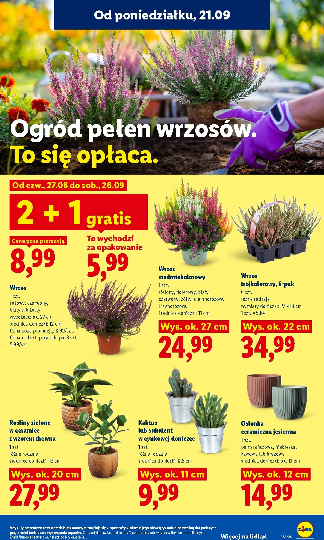 lidl - Nowa gazetka Lidl ważna od 21.09.2026 do 23.09.2026 - page: 91