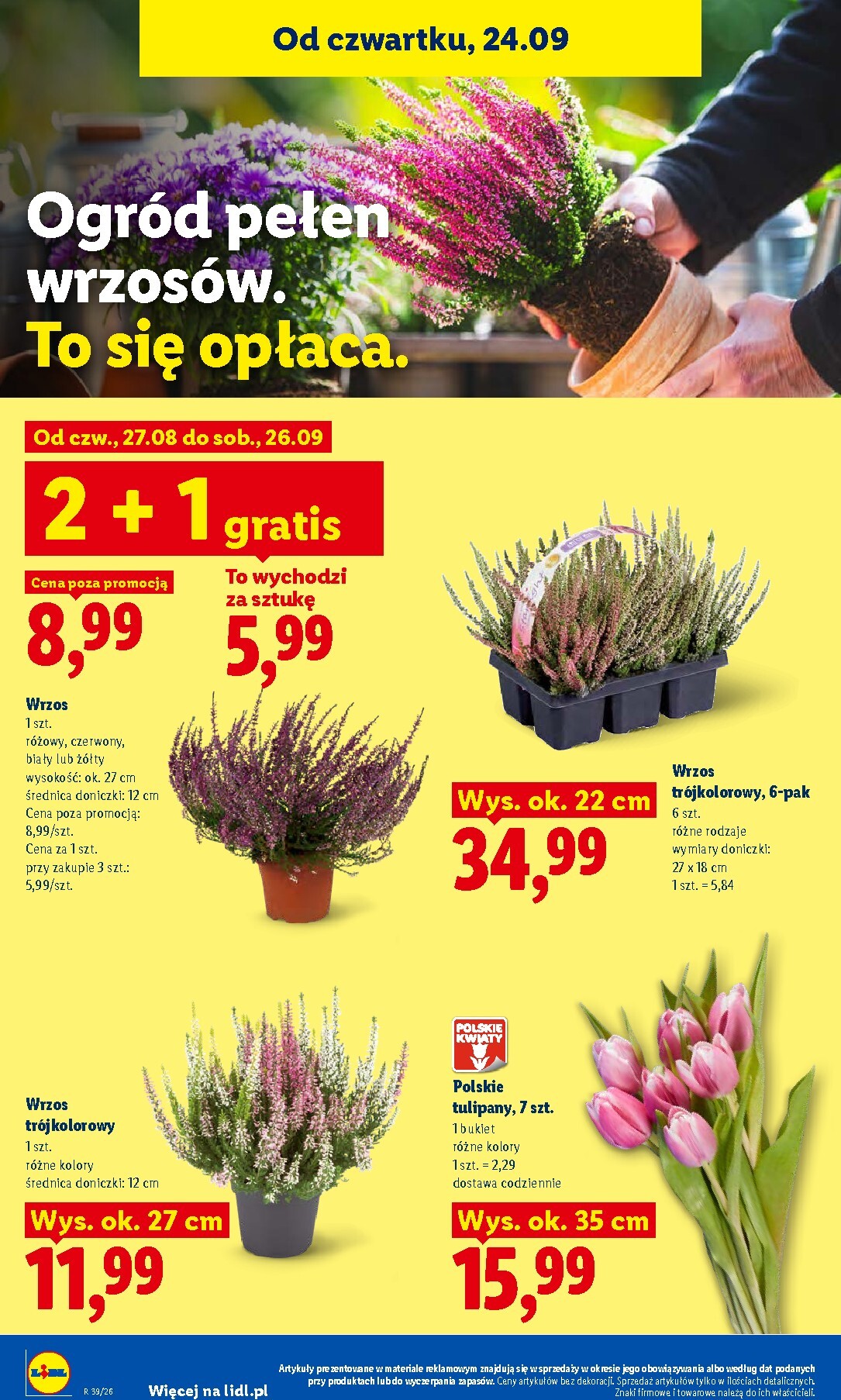 lidl - Nowa gazetka Lidl ważna od 24.09.2026 do 26.09.2026 - page: 100
