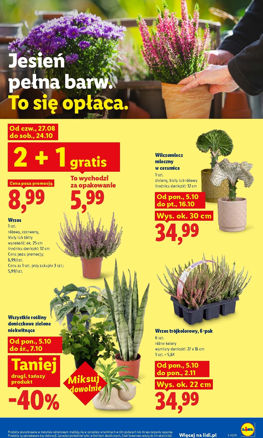 lidl - Nowa gazetka Lidl ważna od 05.10.2026 do 10.10.2026 - page: 89