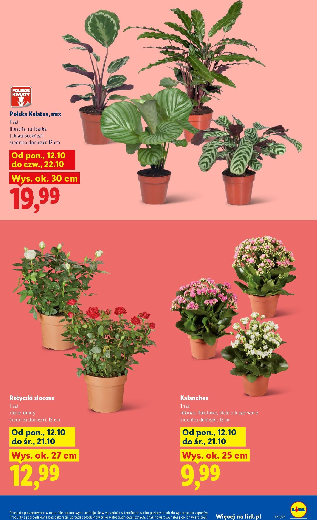 lidl - Nowa gazetka Lidl ważna od 12.10.2026 do 14.10.2026 - page: 9