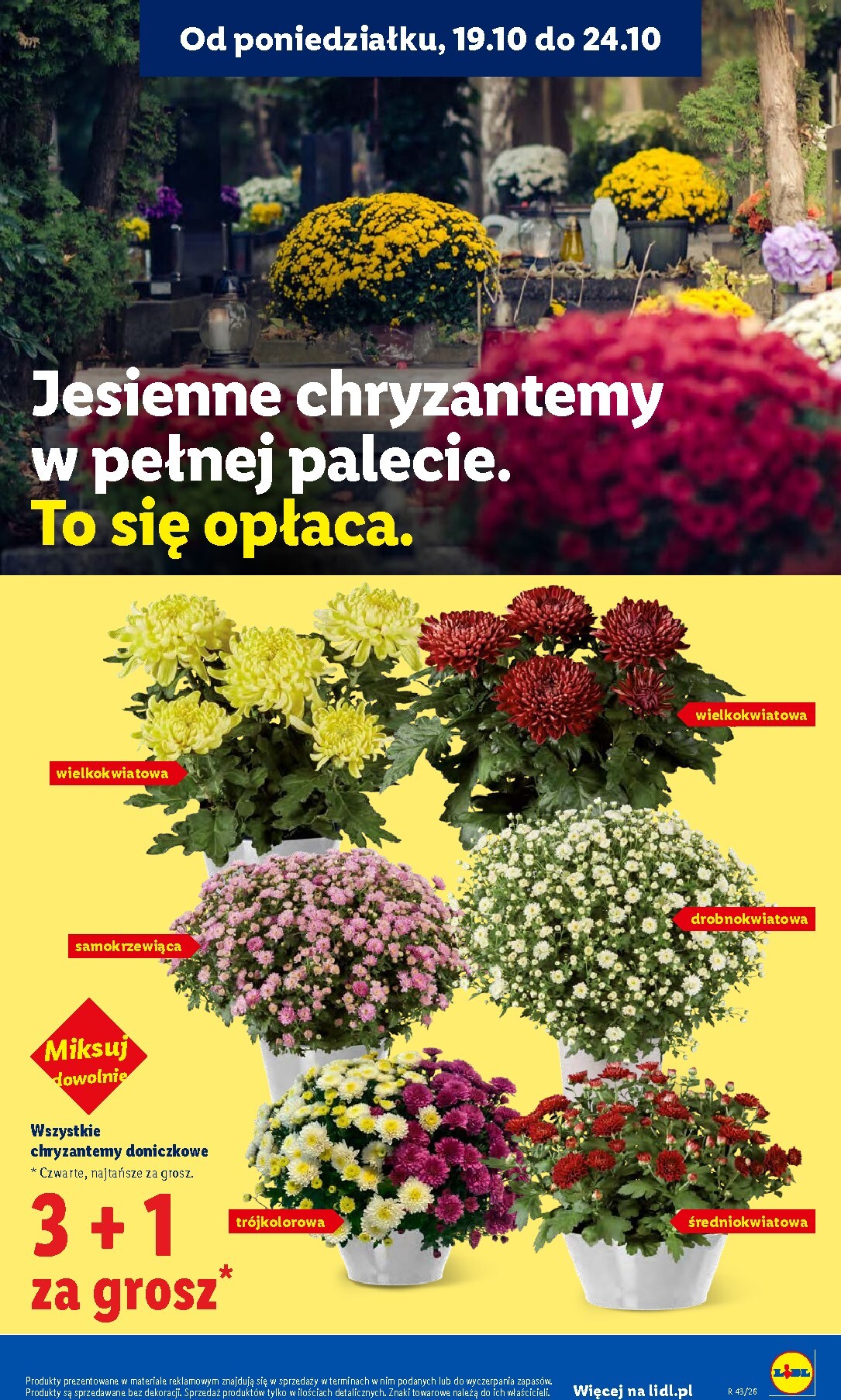 lidl - Nowa gazetka Lidl ważna od 19.10.2026 do 21.10.2026 - page: 97
