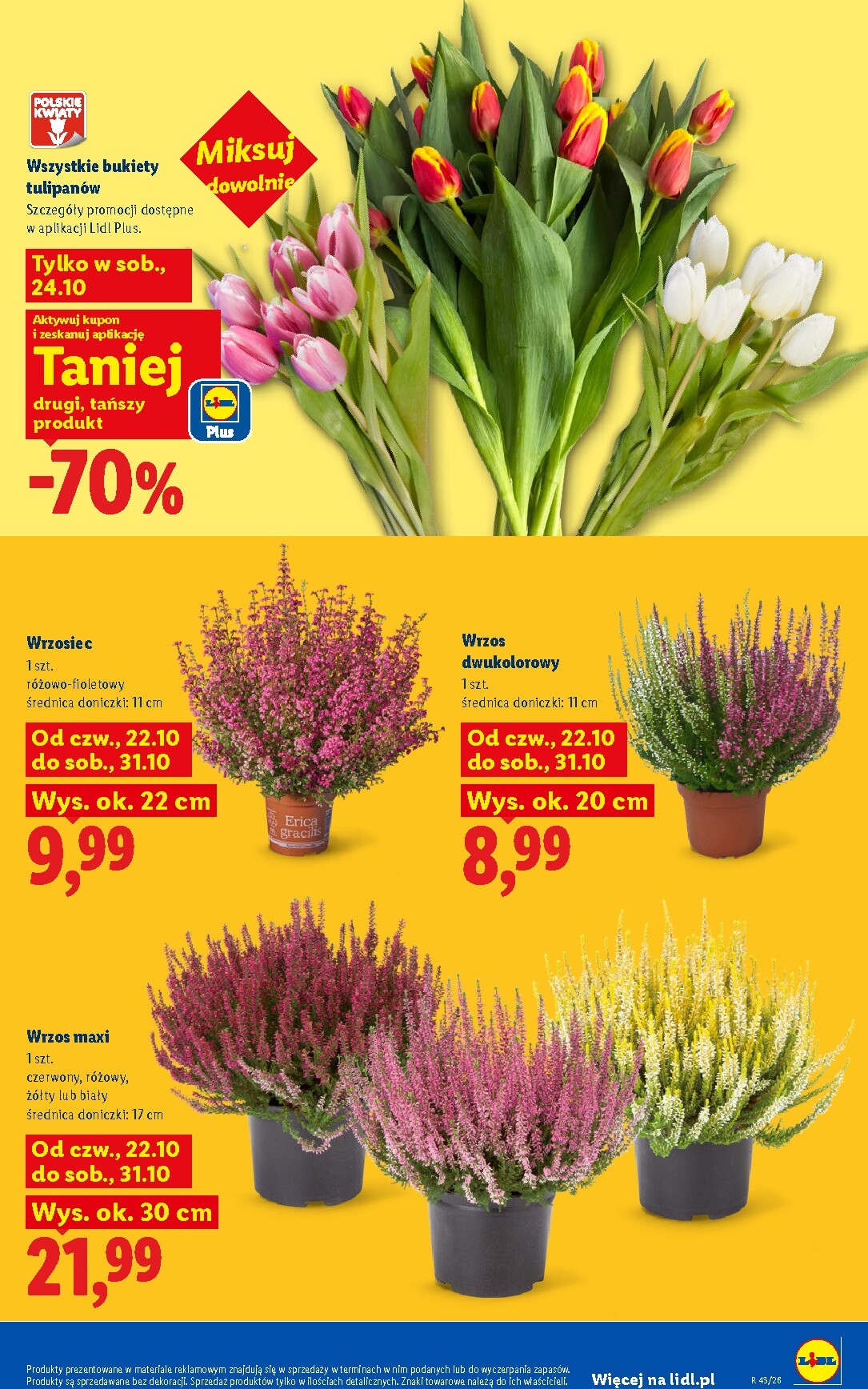 lidl - Nowa gazetka Lidl ważna od 22.10.2026 do 24.10.2026 - page: 103
