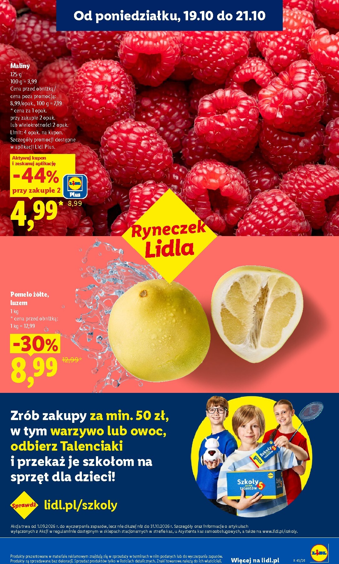 lidl - Aktualna gazetka Lidl ważna od 19.10.2026 do 21.10.2026 - page: 41