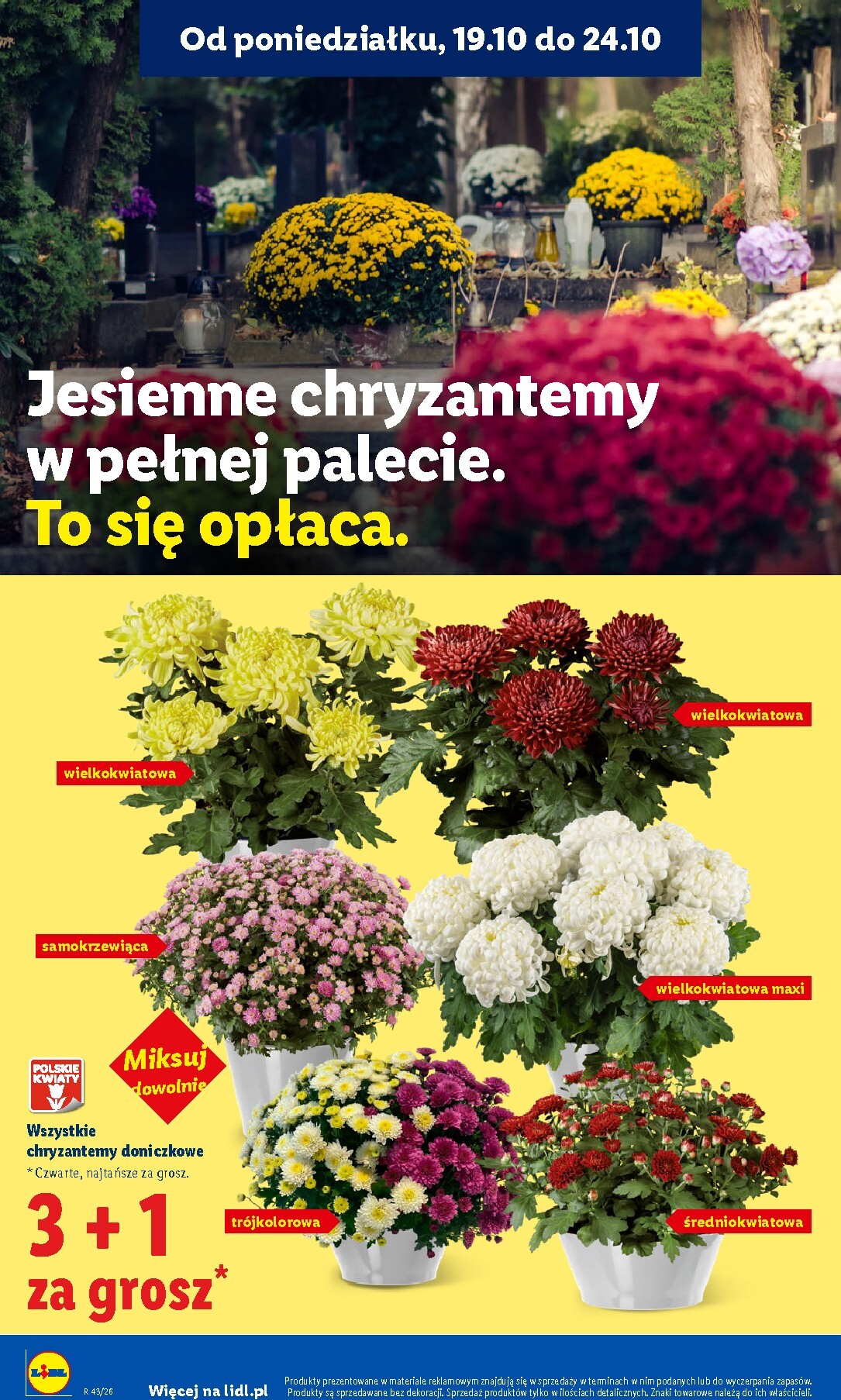 lidl - Aktualna gazetka Lidl ważna od 22.10.2026 do 24.10.2026 - page: 104