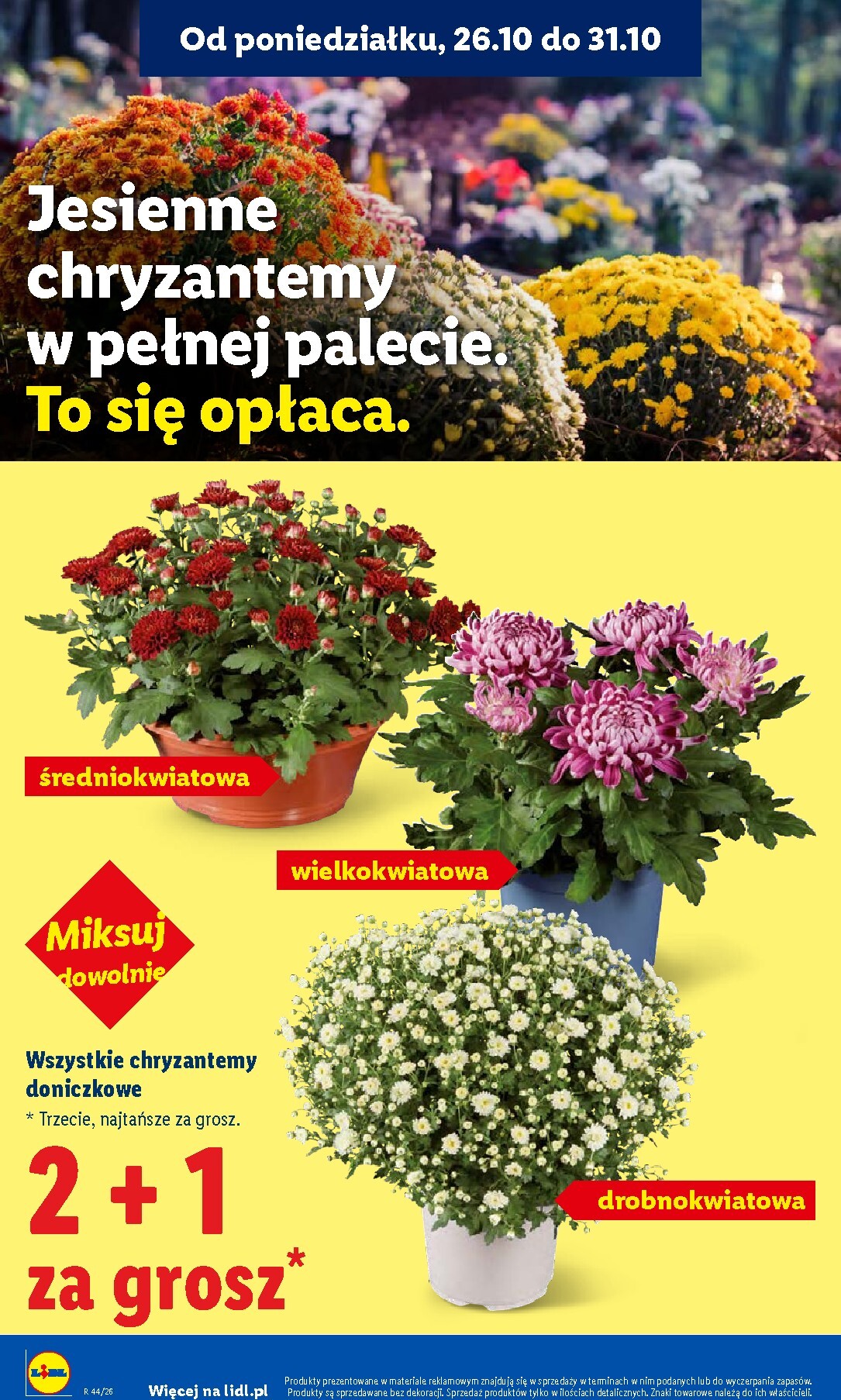 lidl - Nowa gazetka Lidl ważna od 26.10.2026 do 31.10.2026 - page: 44