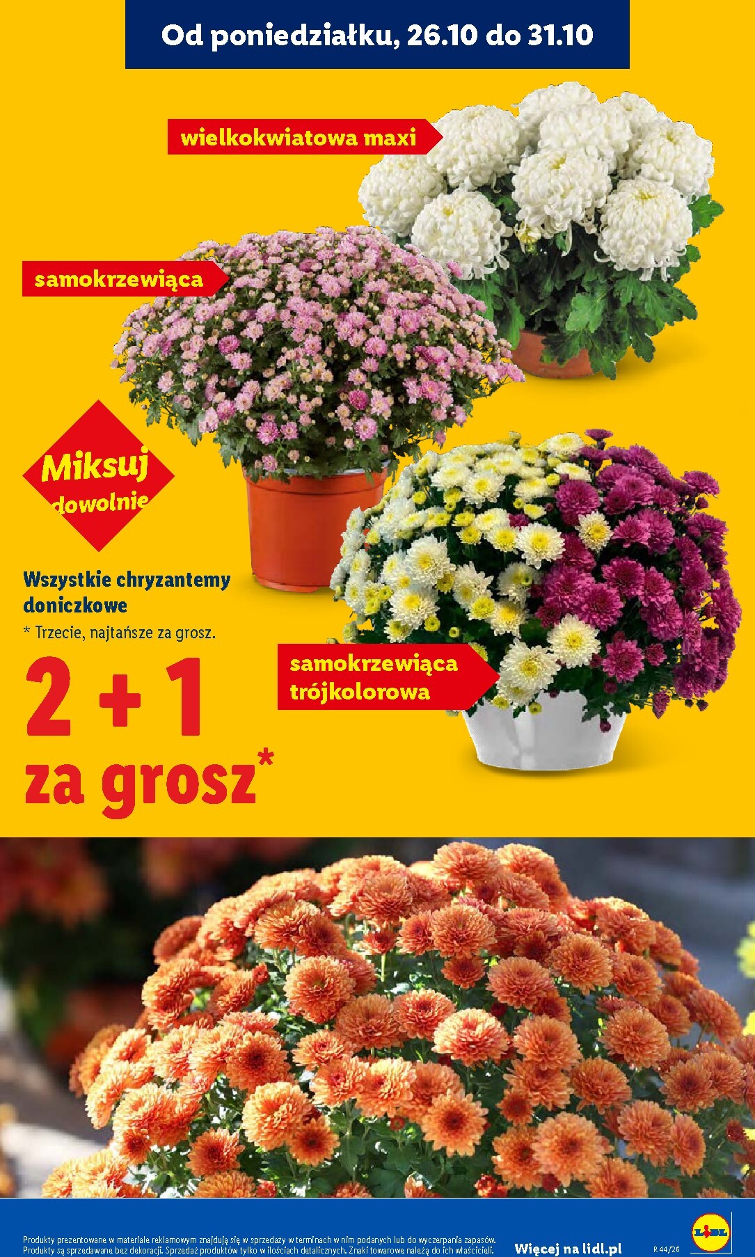 lidl - Nowa gazetka Lidl ważna od 26.10.2026 do 31.10.2026 - page: 45