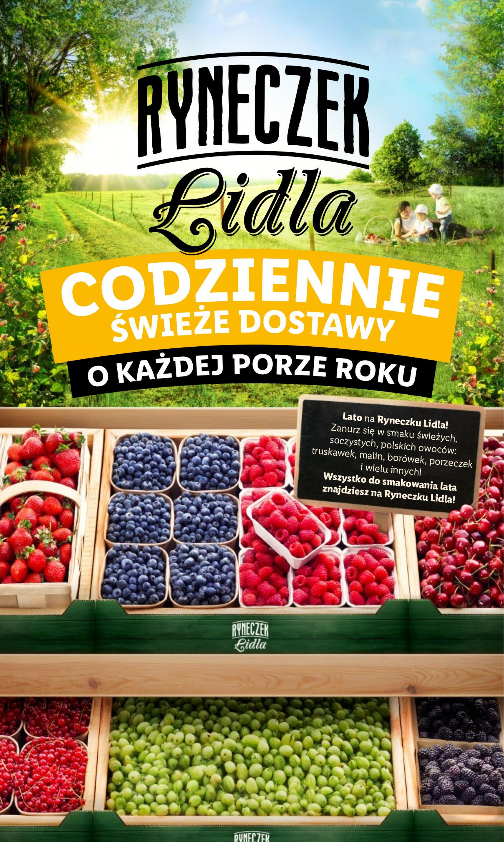 lidl - Lidl gazetka aktualna ważna od 08.07. - 10.07. - page: 12