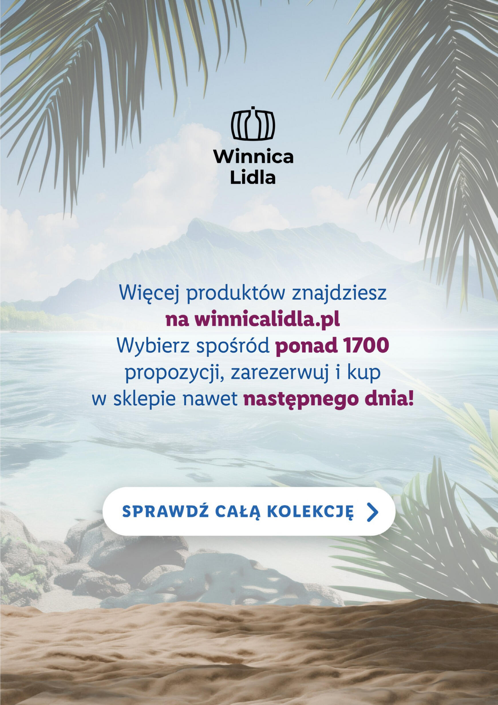 lidl - Lidl - Katalog rumów gazetka aktualna ważna od 23.07. - 25.08. - page: 4