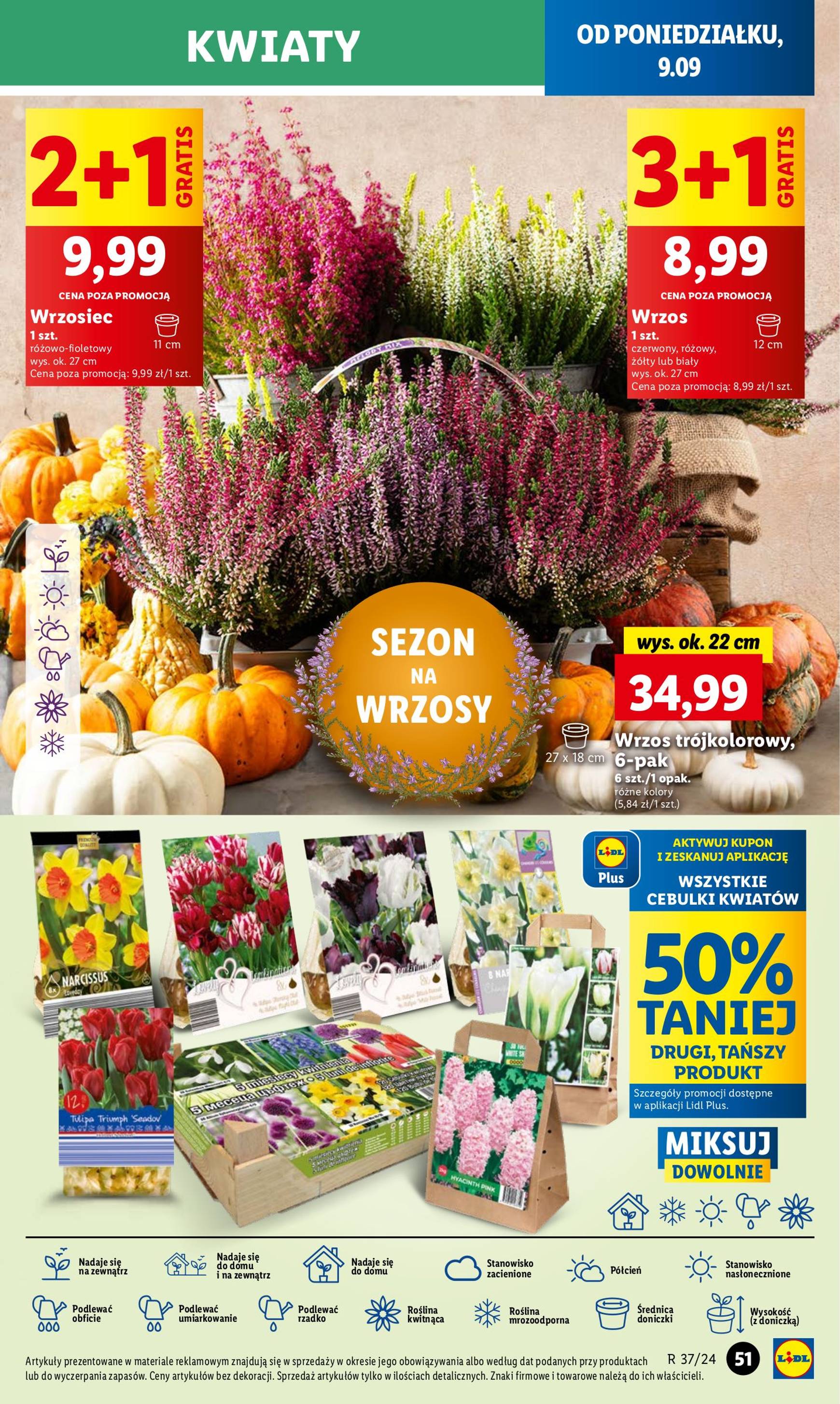 lidl - Aktualna Lidl gazetka ważna od 09.09. - 11.09. - page: 55