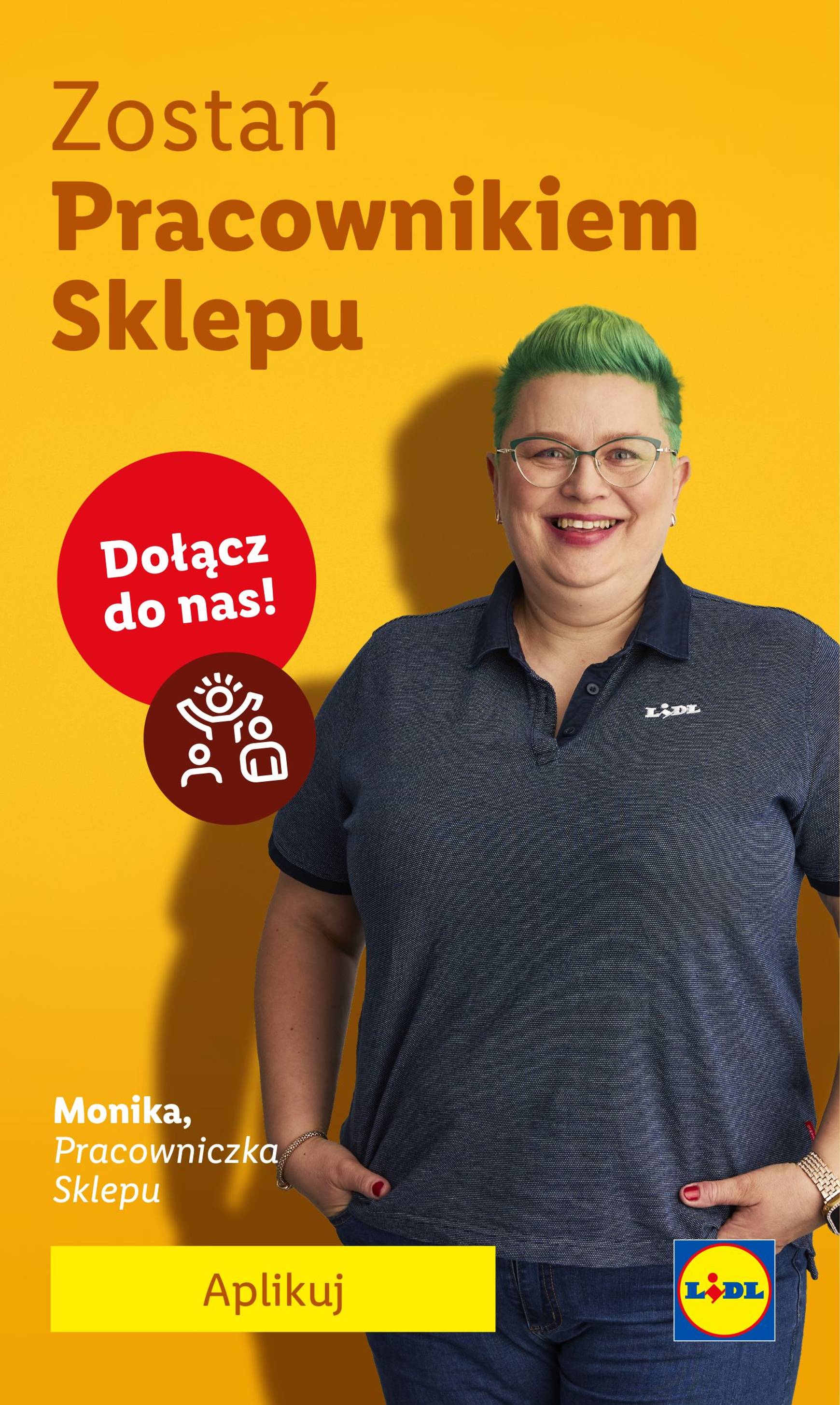 lidl - Aktualna Lidl - Katalog Okazji gazetka ważna od 16.09. - 21.09. - page: 43