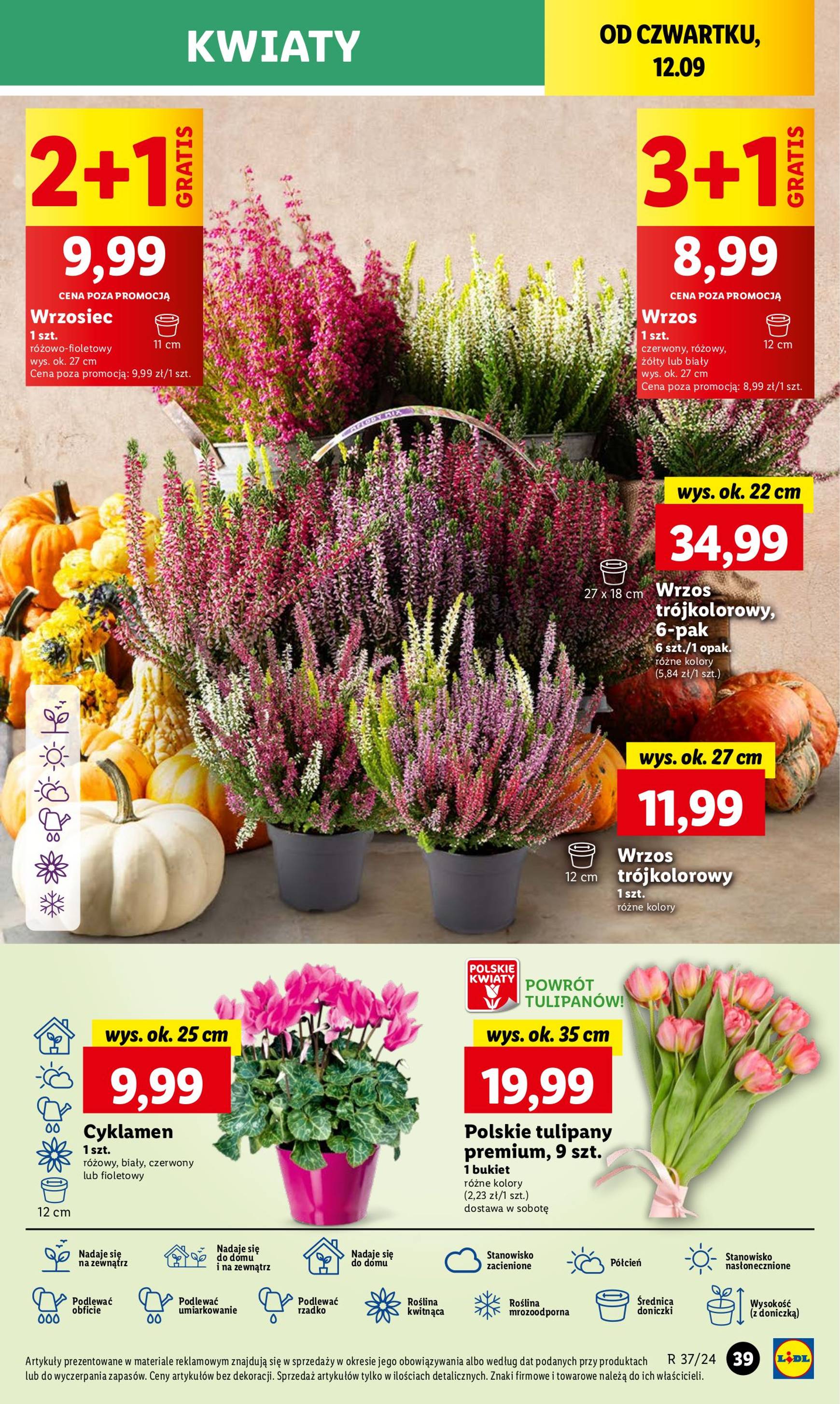 lidl - Aktualna Lidl gazetka ważna od 12.09. - 14.09. - page: 43