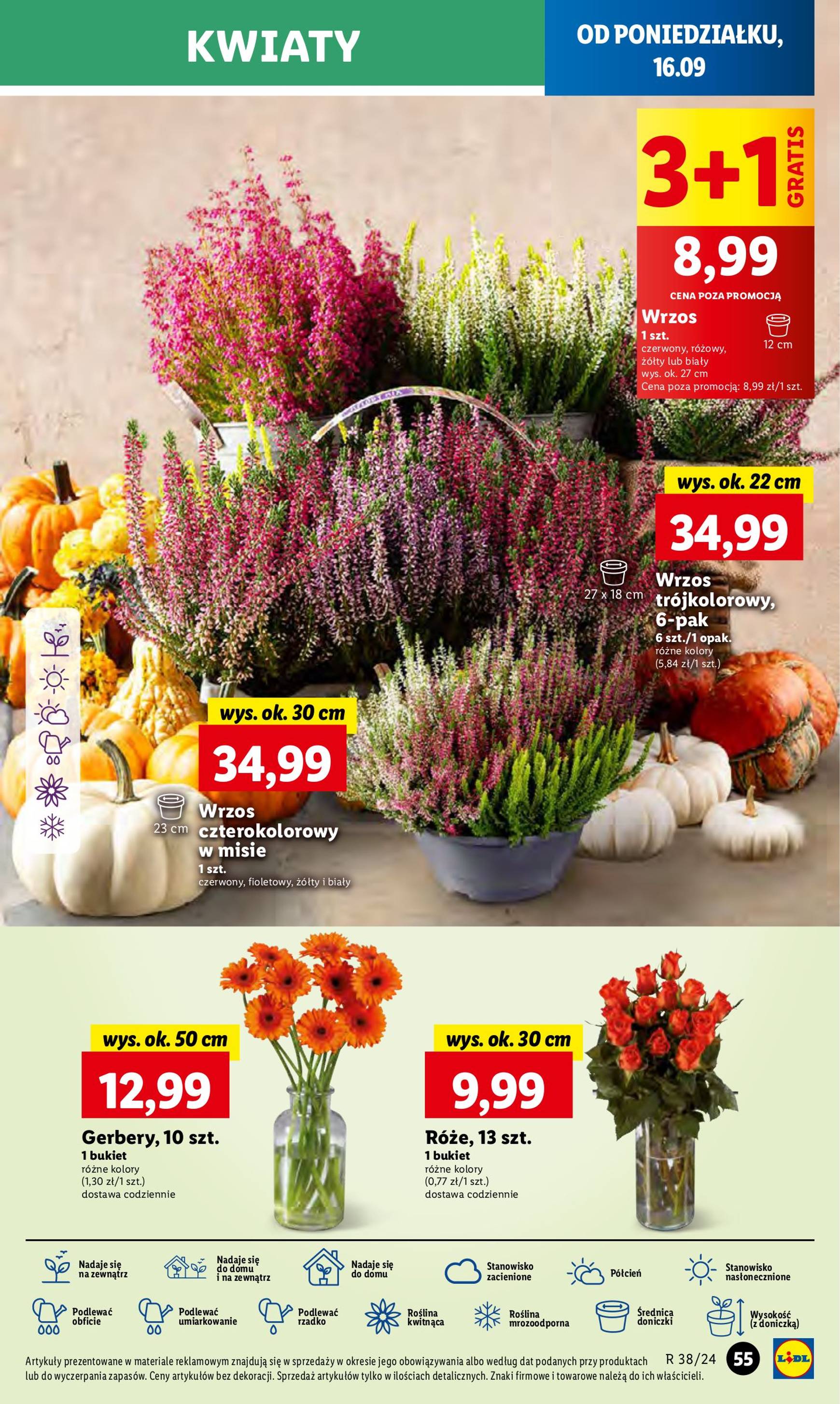 lidl - Aktualna Lidl gazetka ważna od 16.09. - 18.09. - page: 61