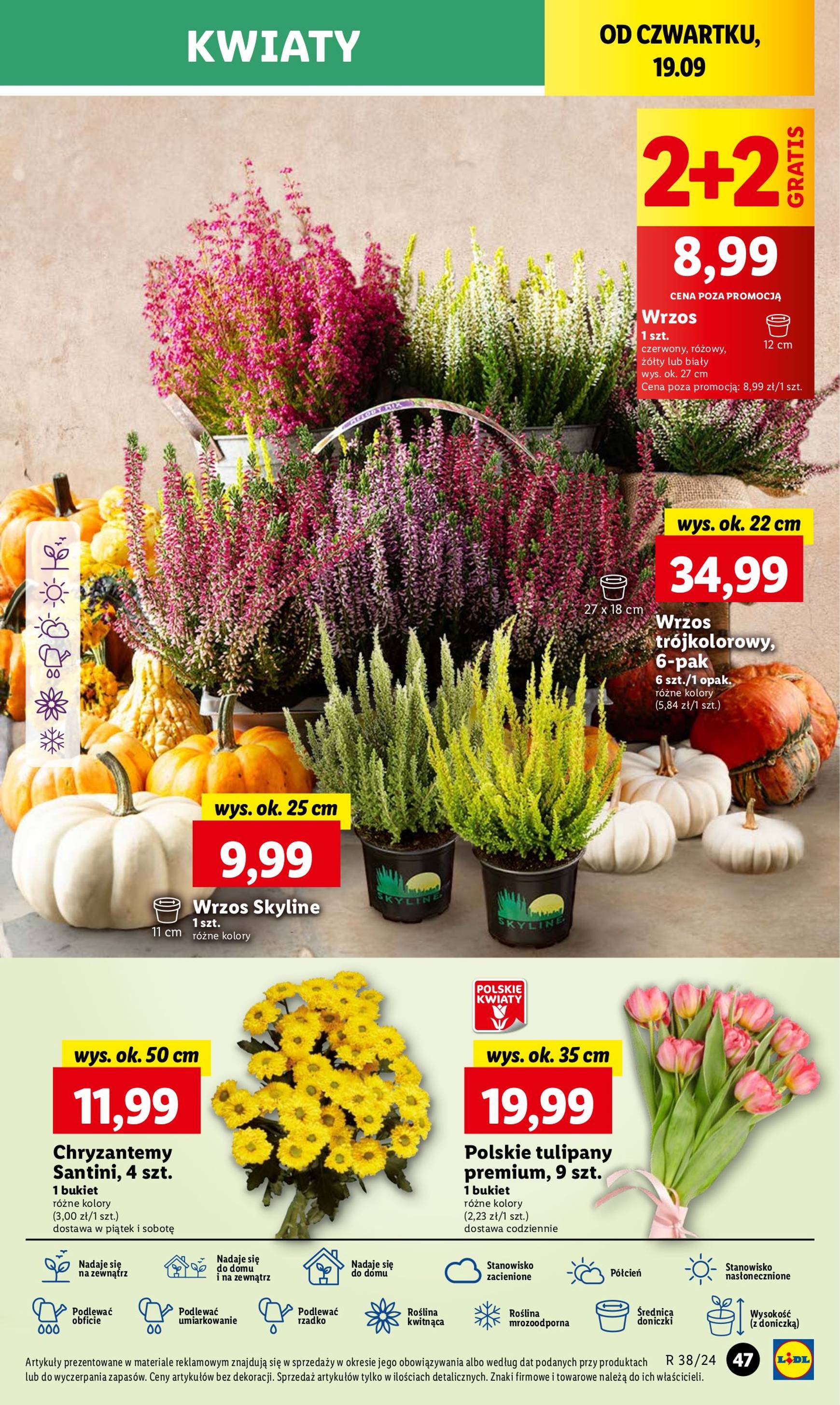 lidl - Aktualna Lidl gazetka ważna od 19.09. - 21.09. - page: 53