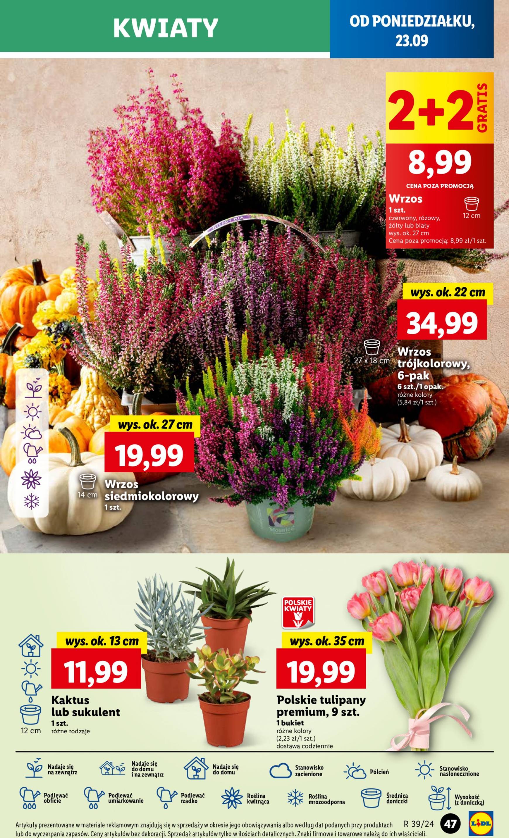 lidl - Aktualna Lidl gazetka ważna od 23.09. - 25.09. - page: 53