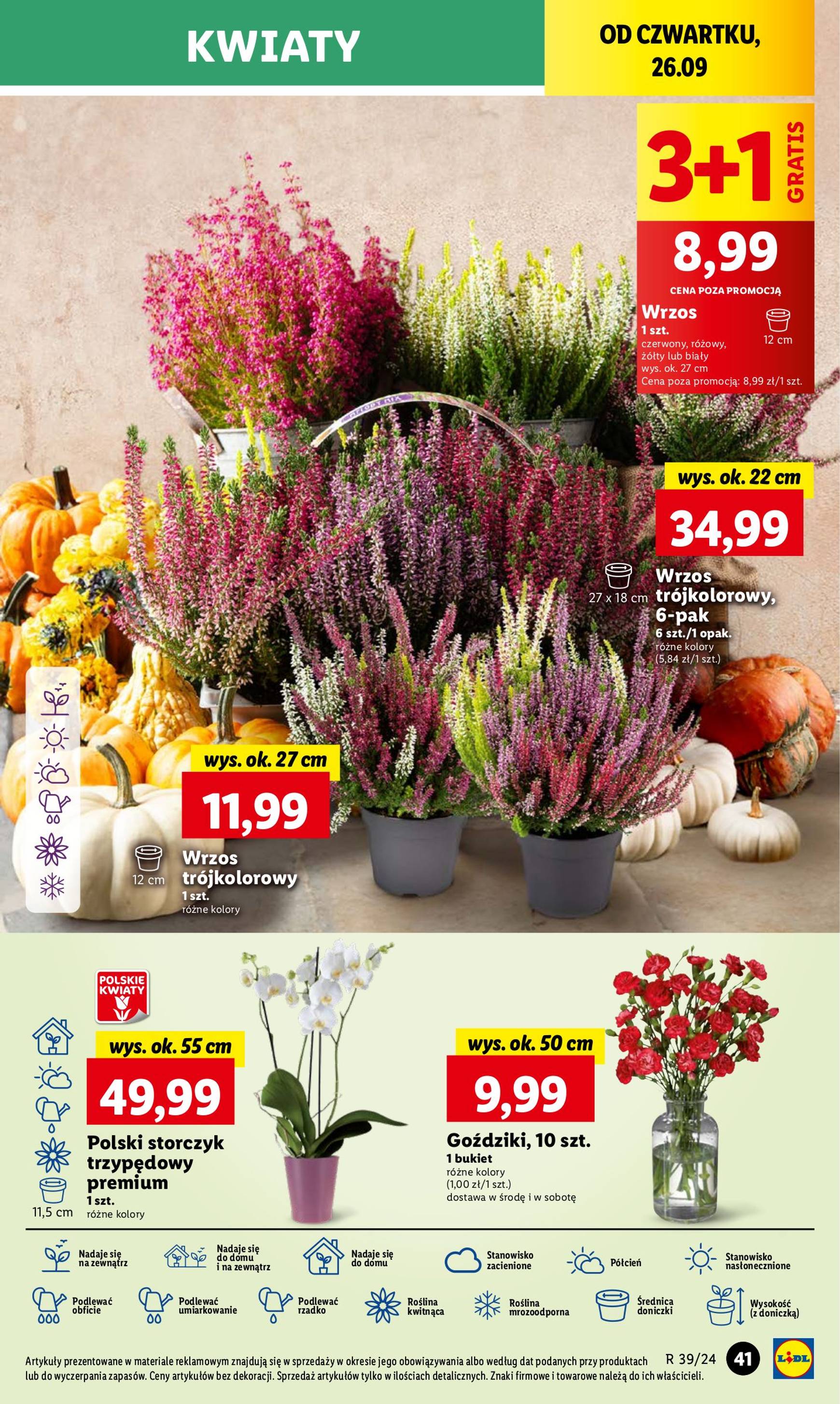 lidl - Aktualna Lidl gazetka ważna od 26.09. - 28.09. - page: 47