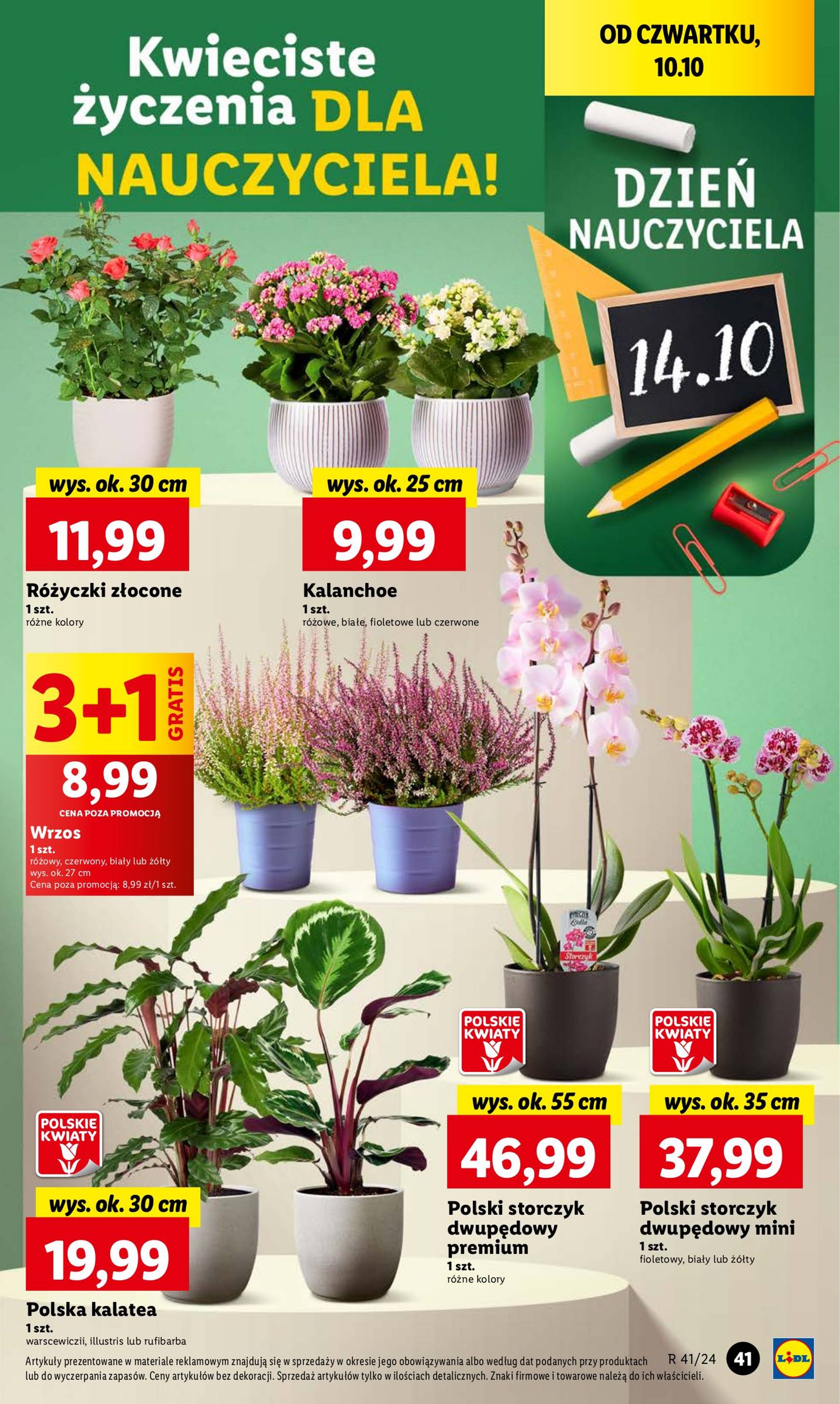 lidl - Lidl gazetka ważna od 10.10. - 12.10. - page: 47