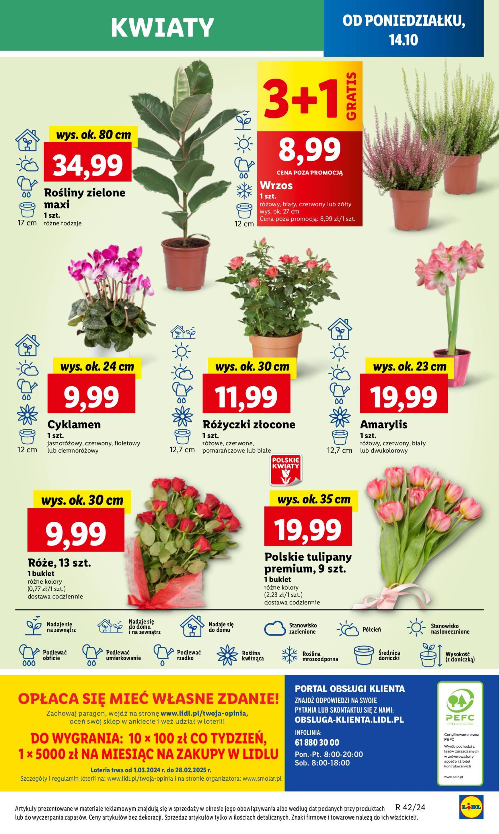 lidl - Lidl gazetka ważna od 14.10. - 16.10. - page: 51