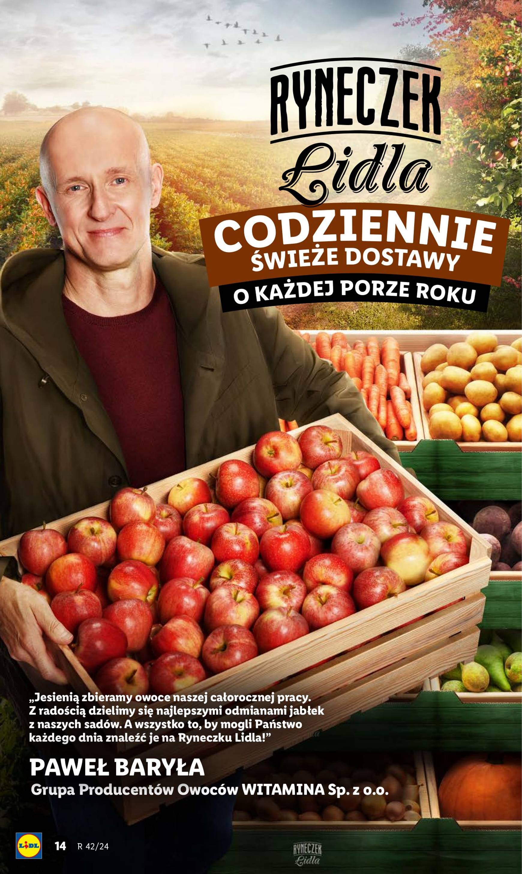 lidl - Lidl gazetka ważna od 14.10. - 16.10. - page: 16