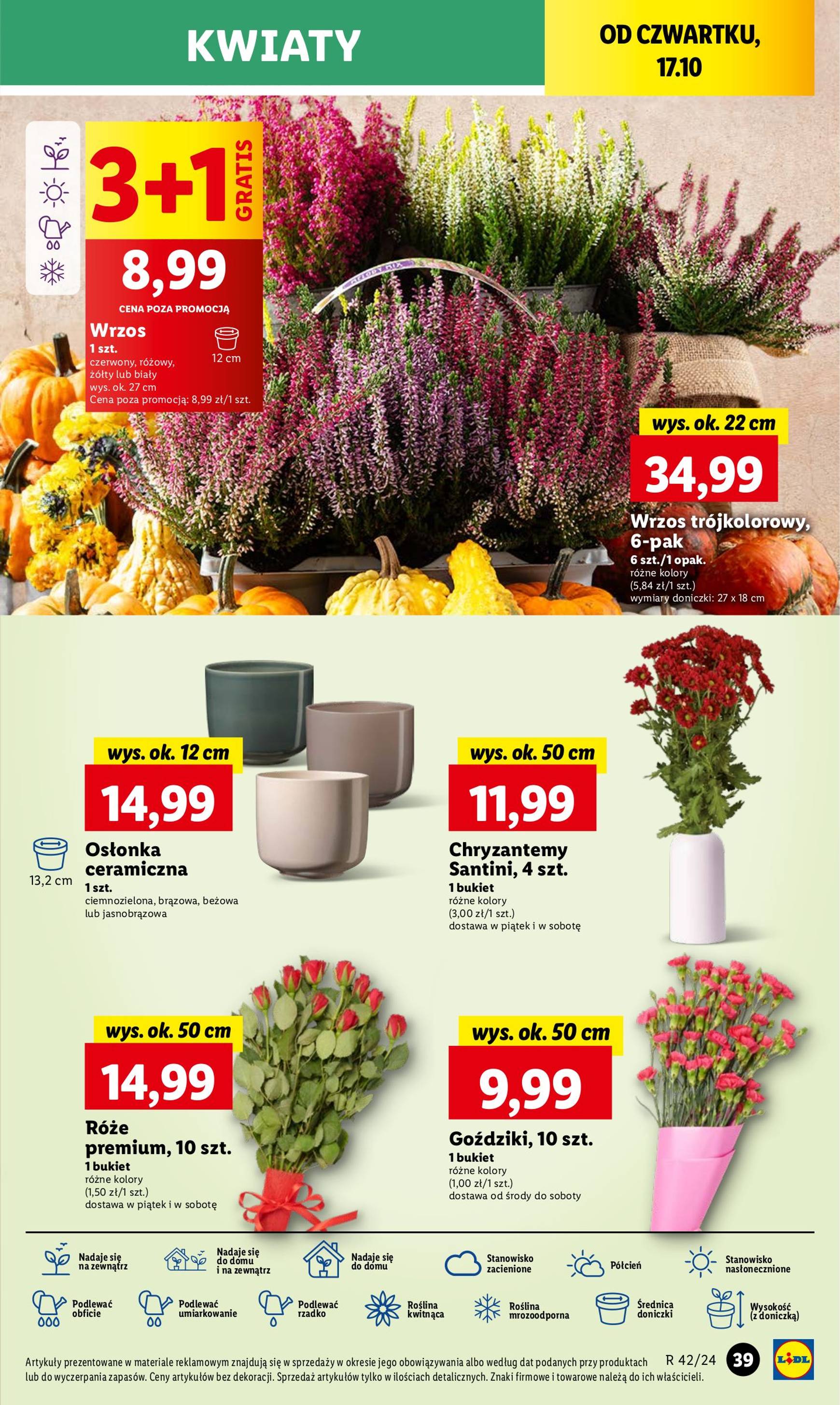 lidl - Lidl gazetka ważna od 17.10. - 19.10. - page: 47