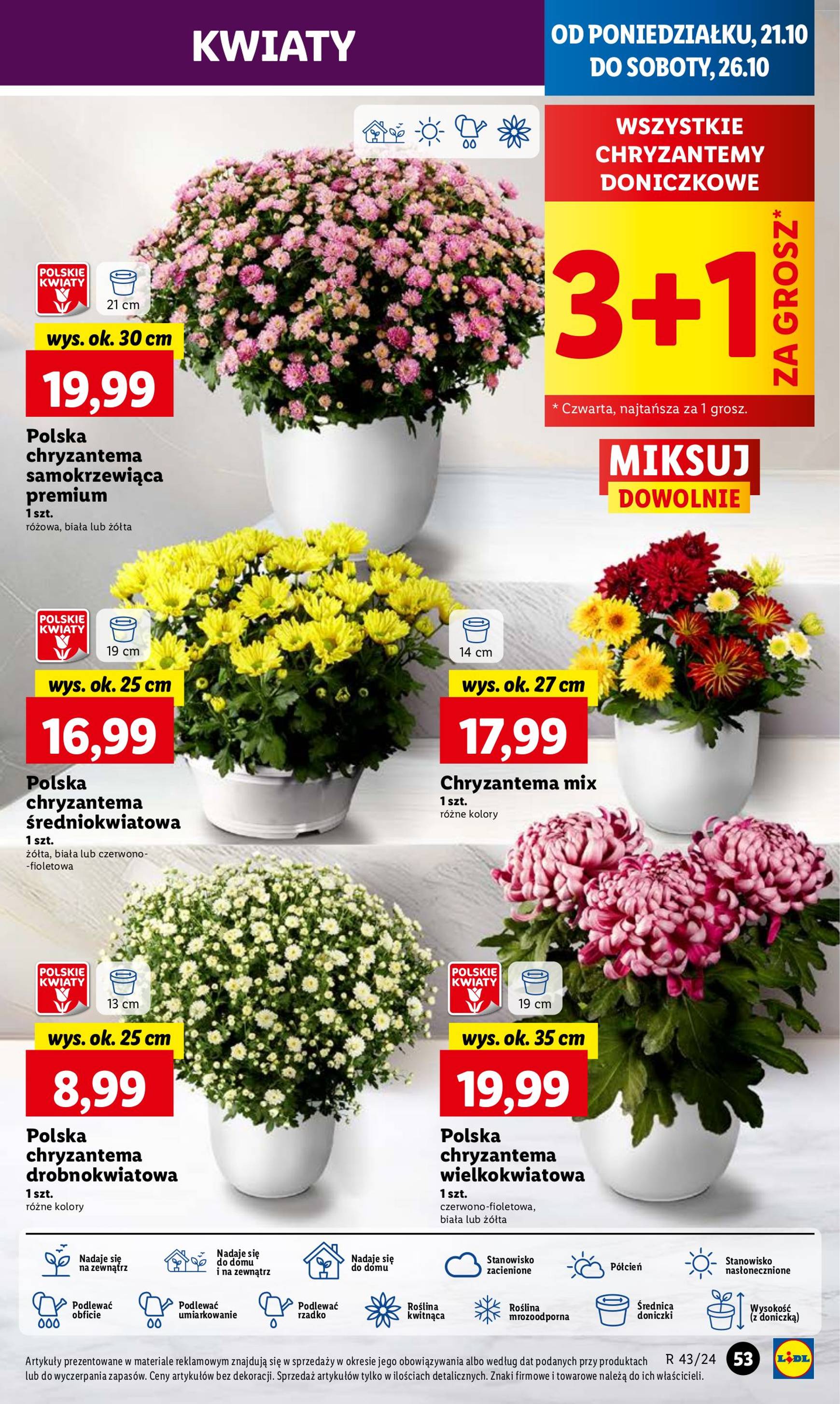 lidl - Lidl gazetka ważna od 21.10. - 23.10. - page: 59