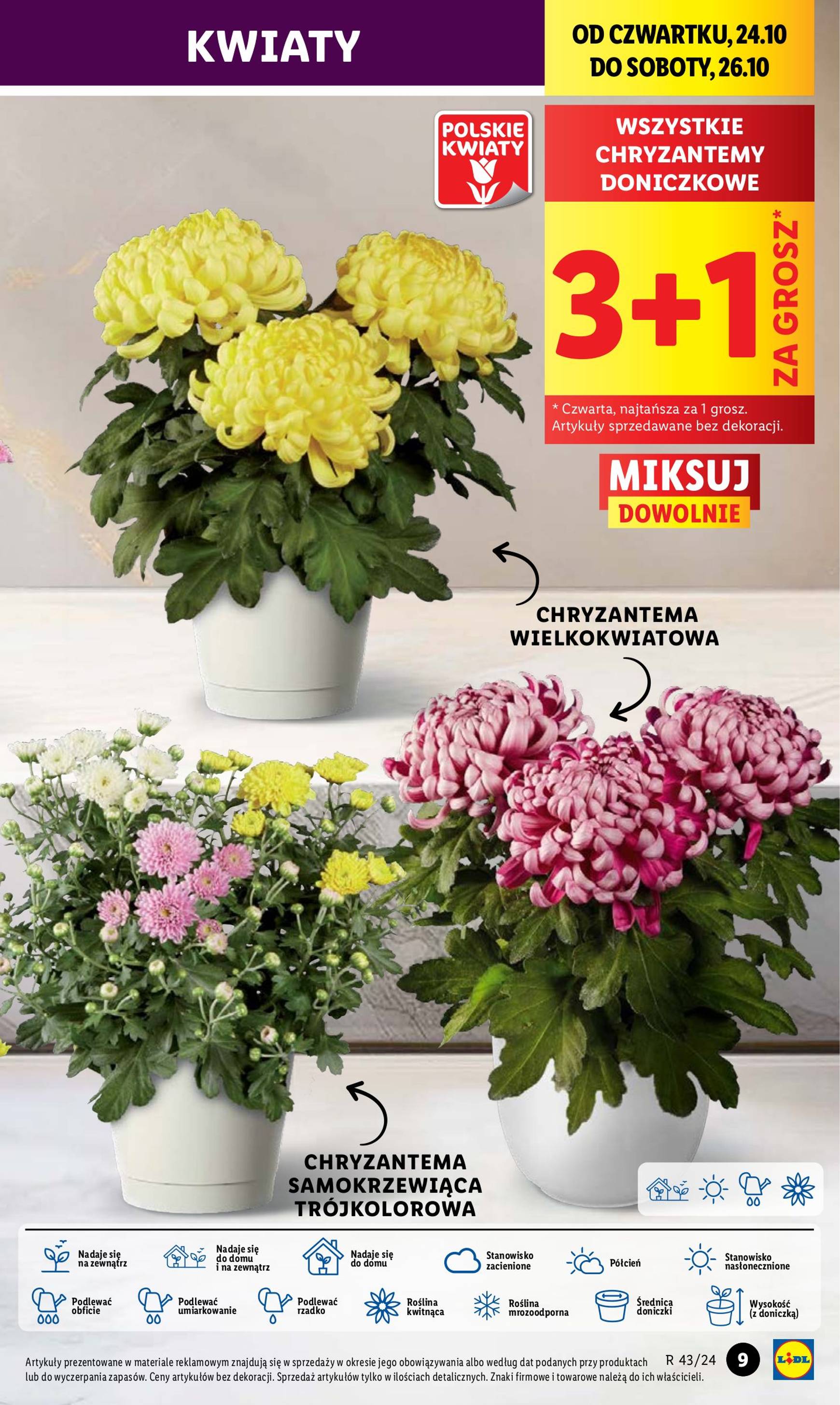 lidl - Lidl gazetka ważna od 24.10. - 26.10. - page: 9