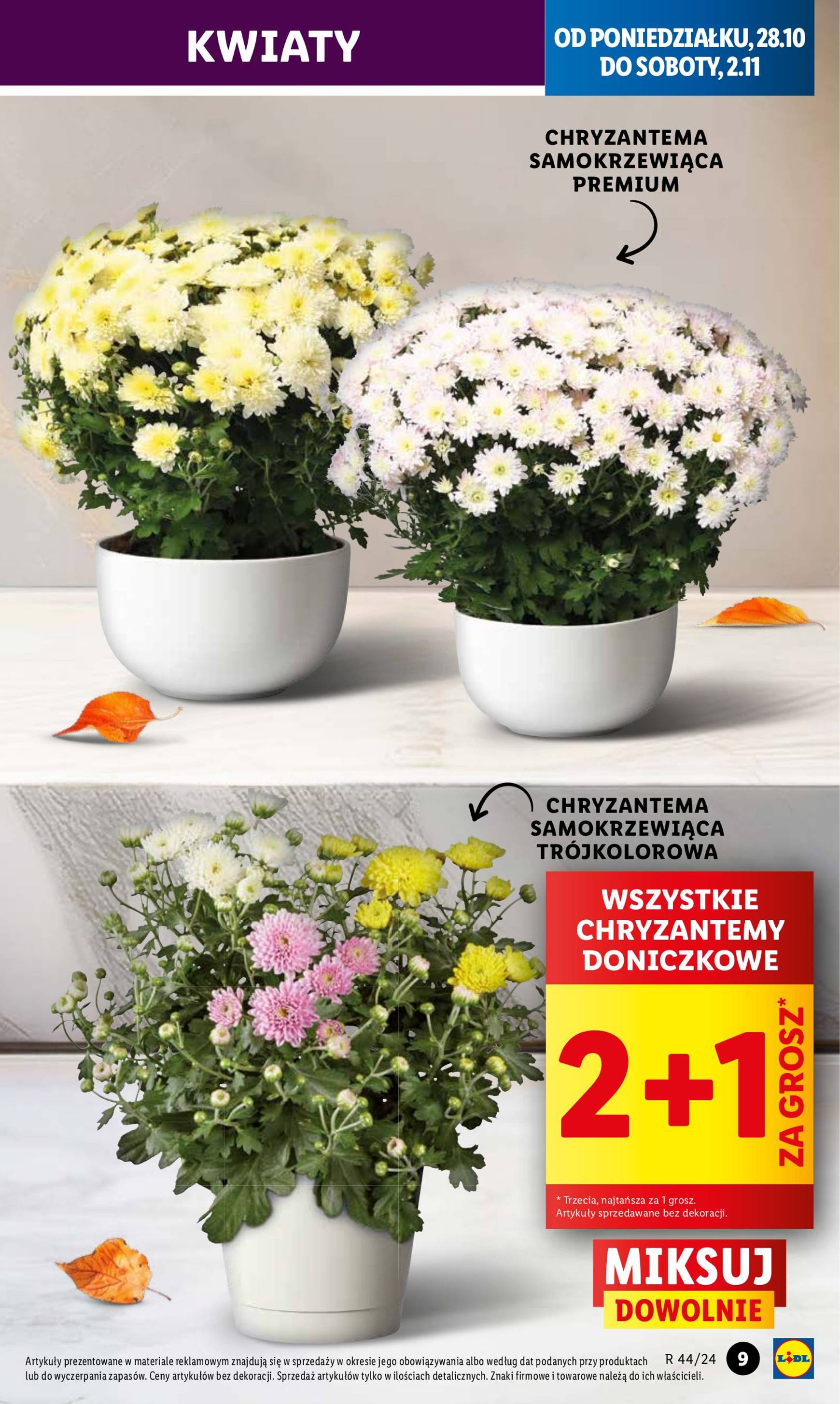 lidl - Lidl gazetka ważna od 28.10. - 29.10. - page: 9