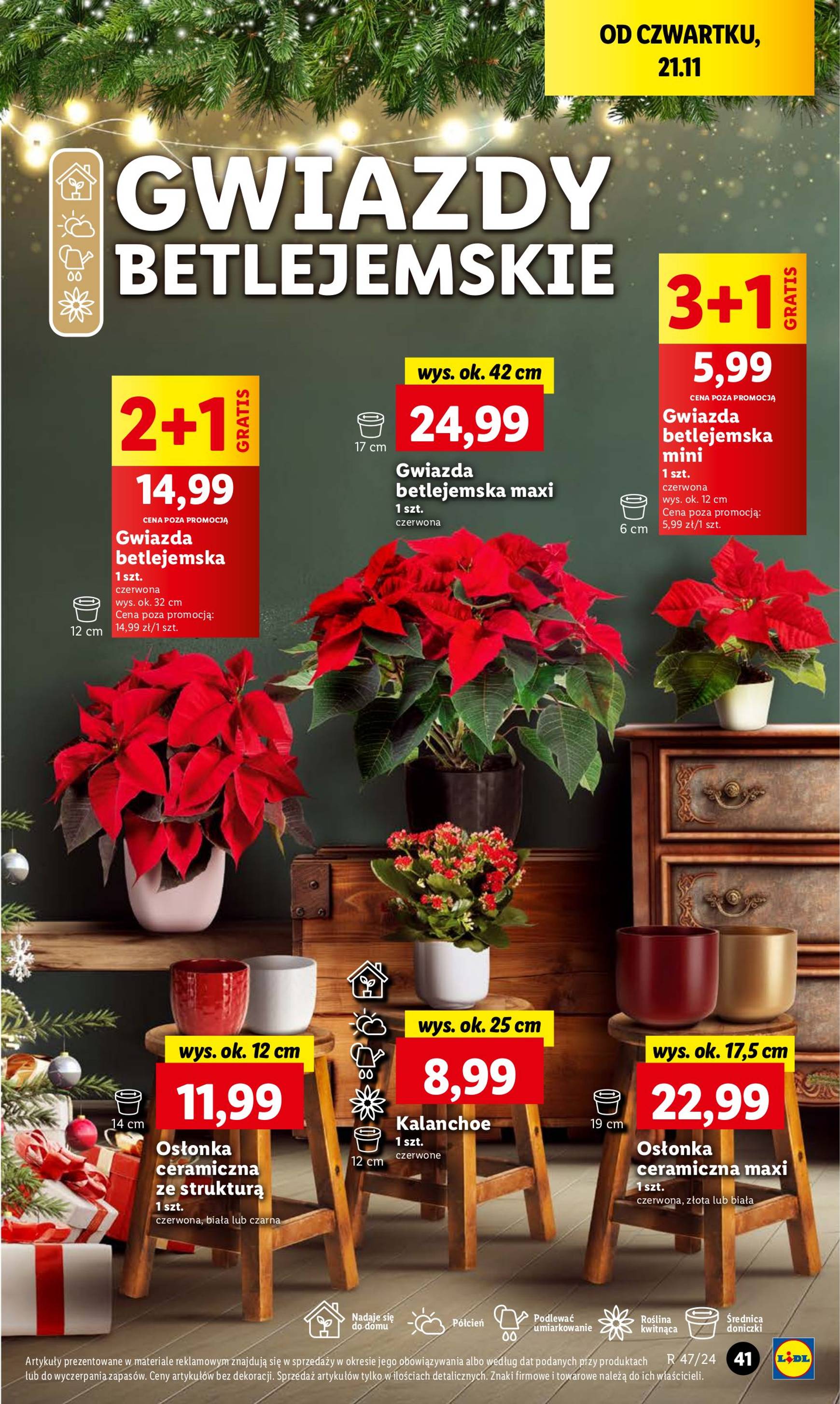 lidl - Lidl gazetka ważna od 21.11. - 23.11. - page: 37