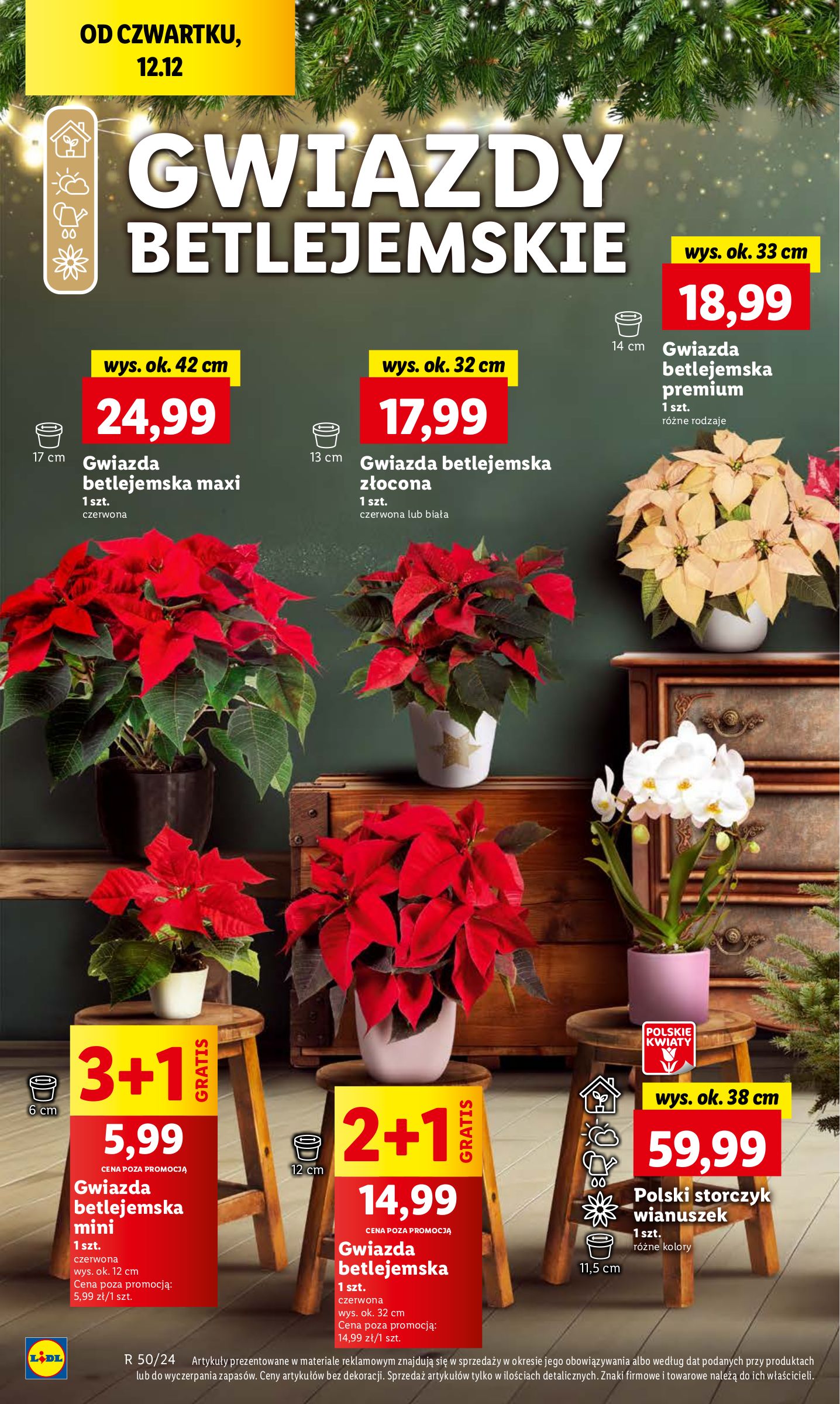 lidl - Lidl gazetka ważna od 12.12. - 15.12. - page: 52