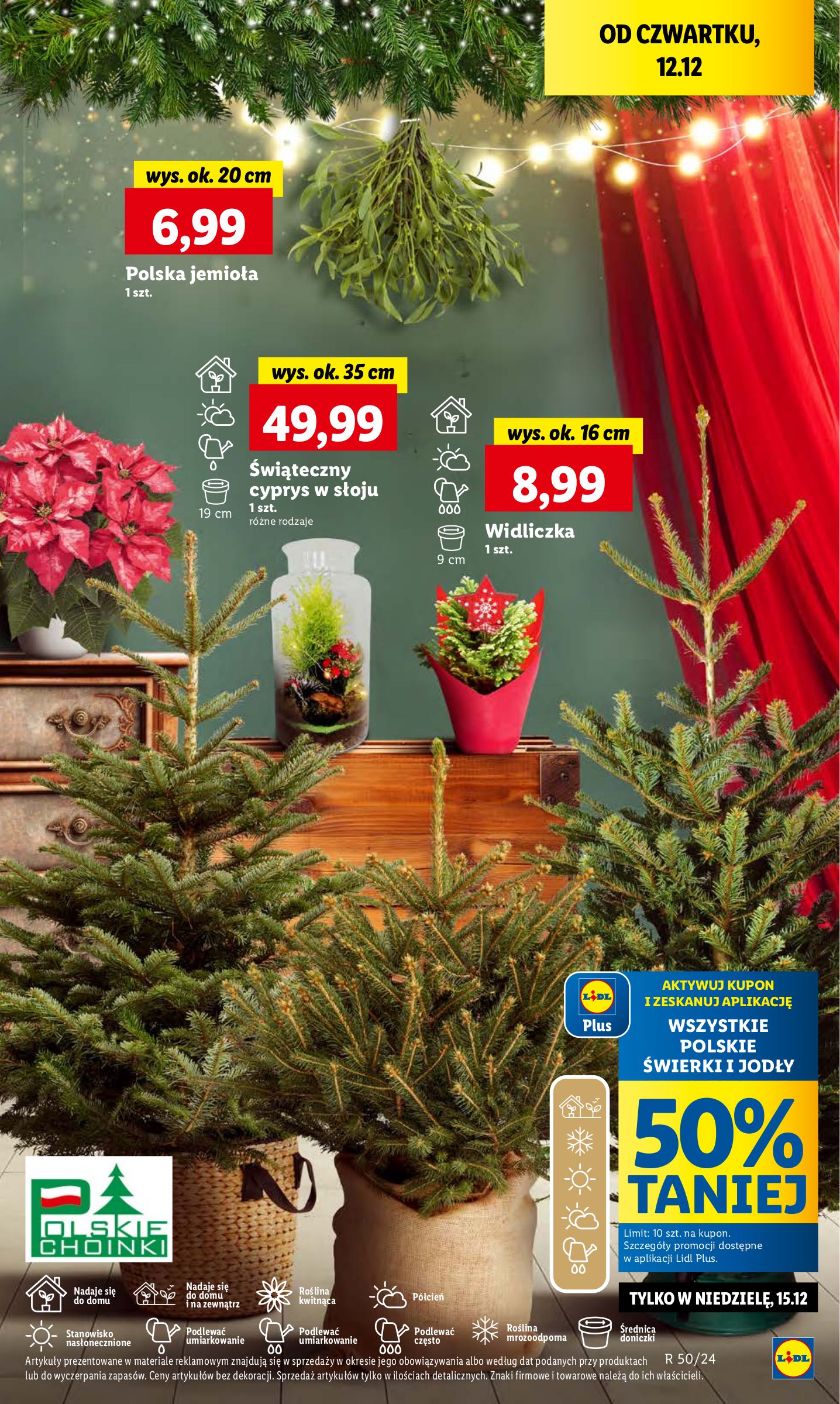 lidl - Lidl gazetka ważna od 12.12. - 15.12. - page: 53